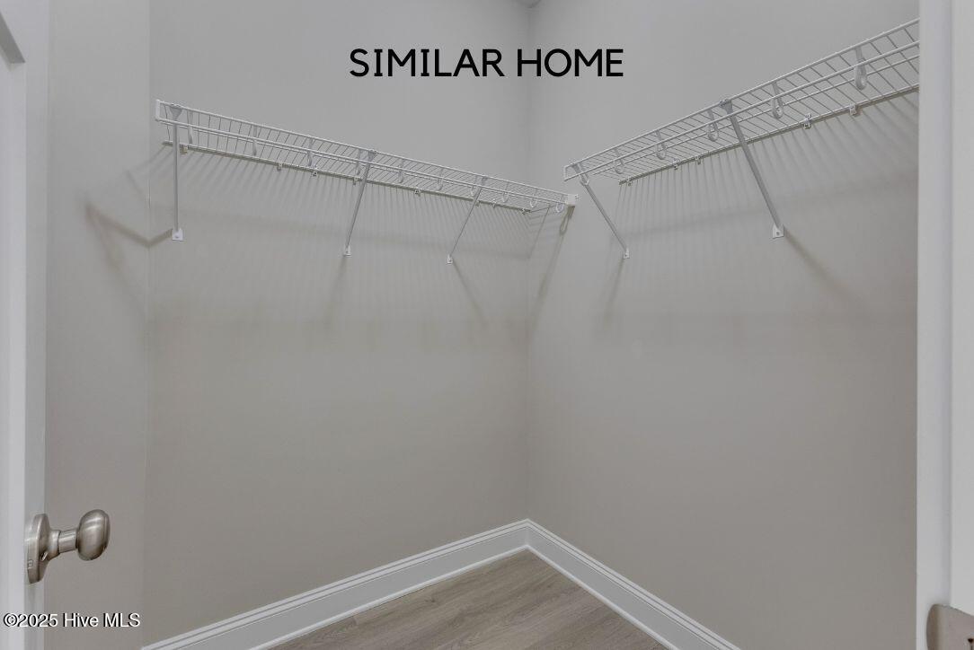 100498465 | Photo 23