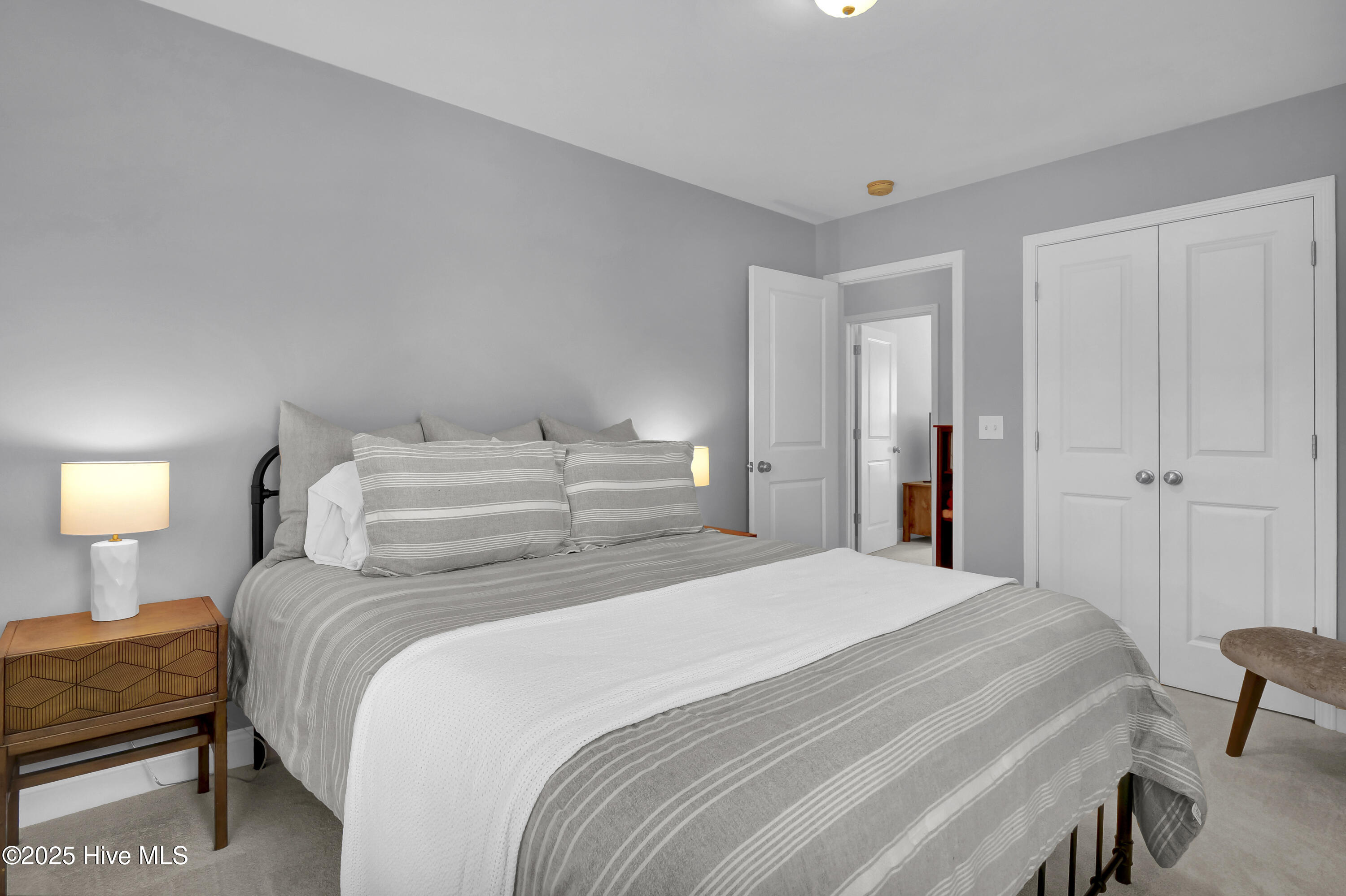 100529141 | Photo 17