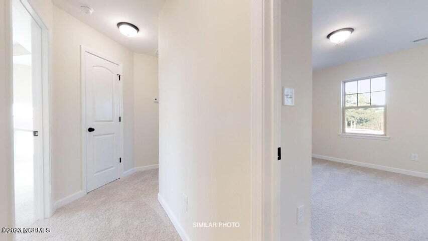 100559374 | Photo 22