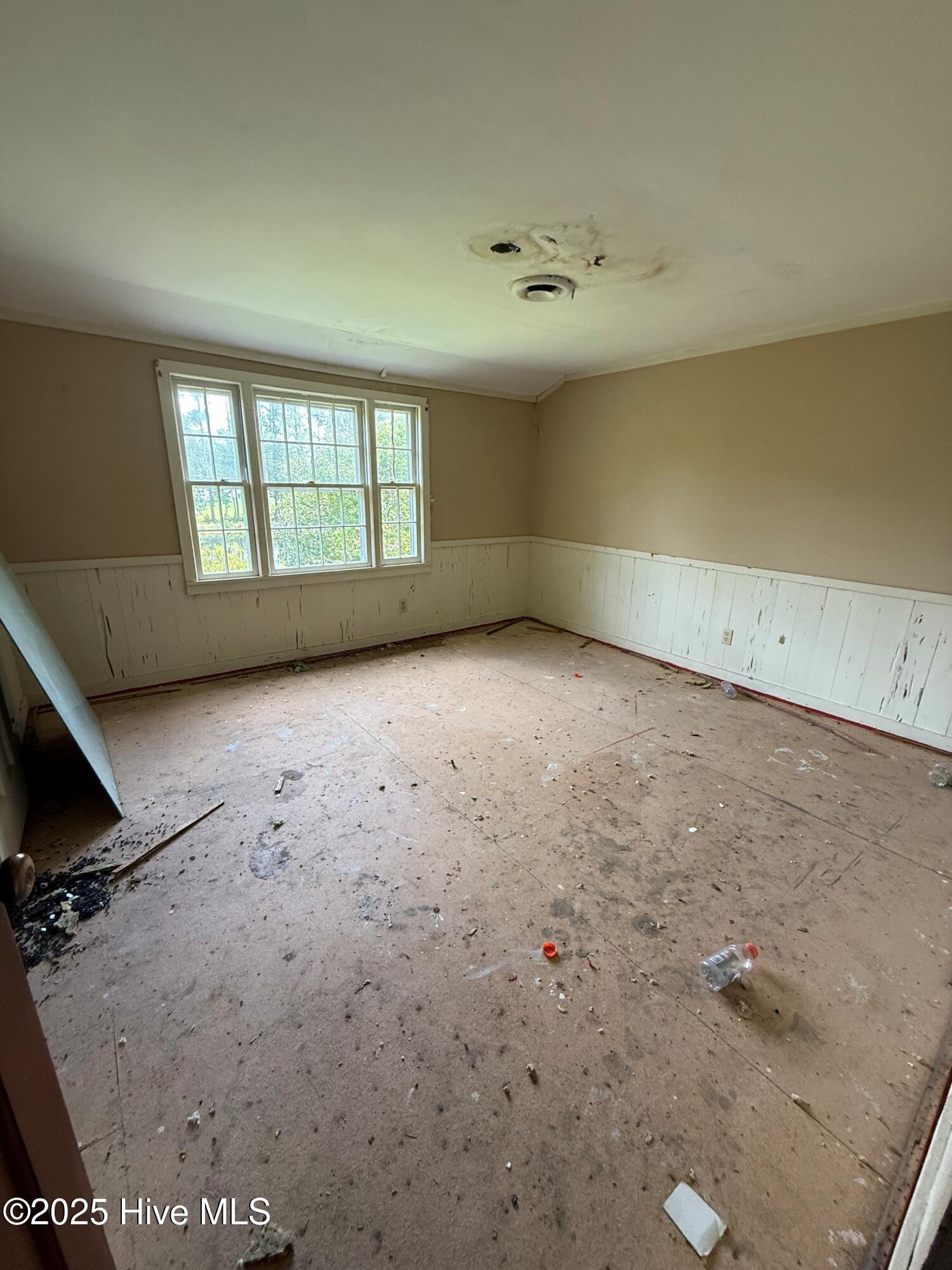 100538518 | Photo 33