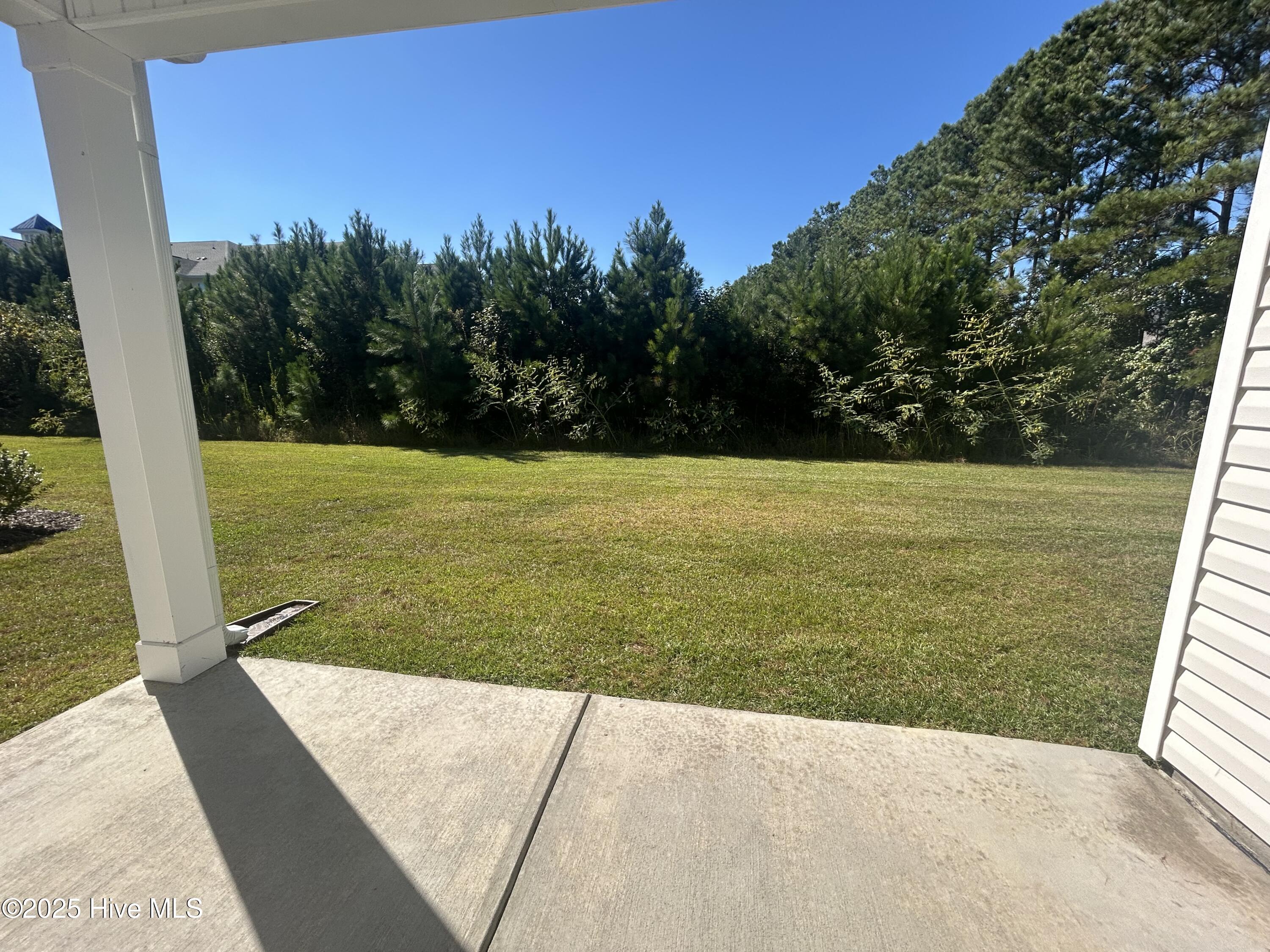 100536959 | Photo 12