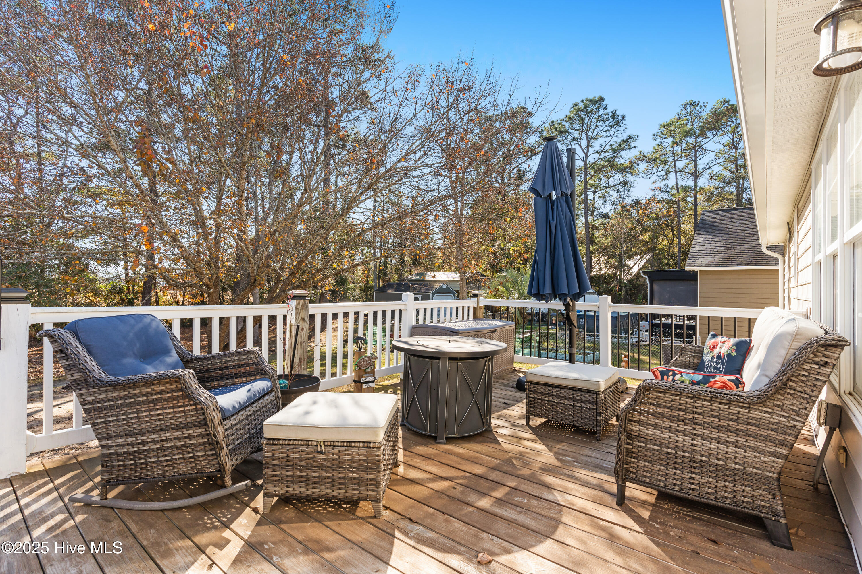 100545558 | Photo 38