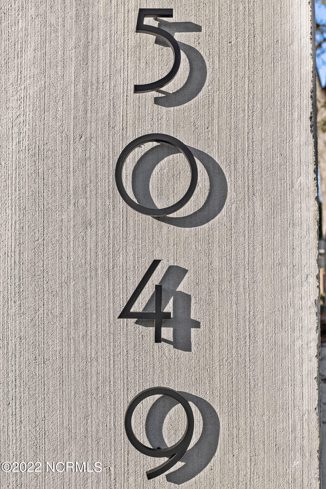 100492638 | Photo 50