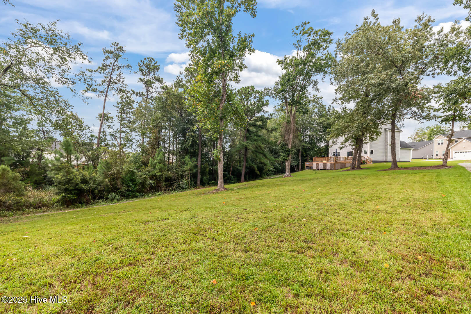 100544097 | Photo 64