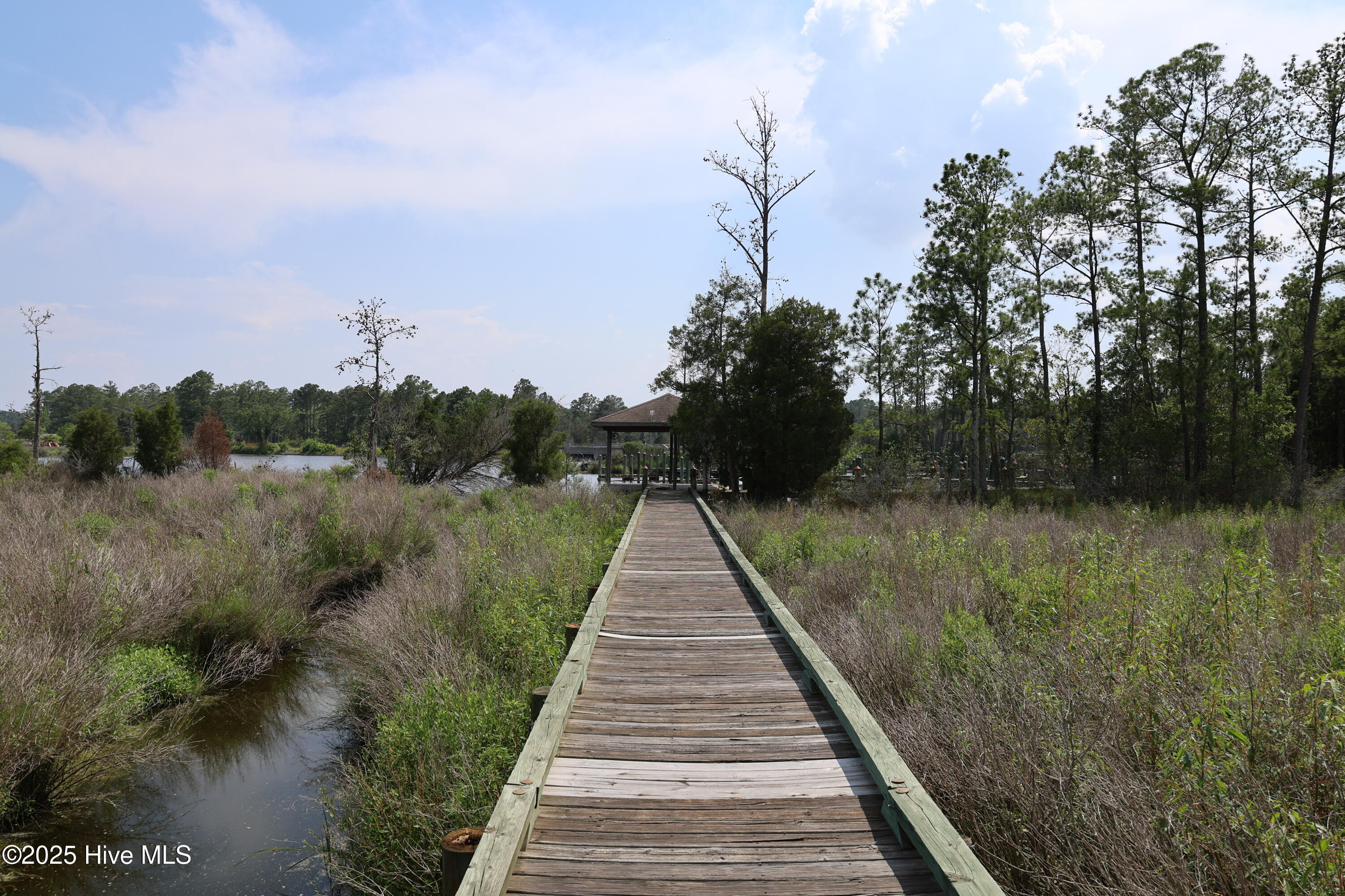 0 Pointe Harbor Drive, Belhaven, NC, 27810