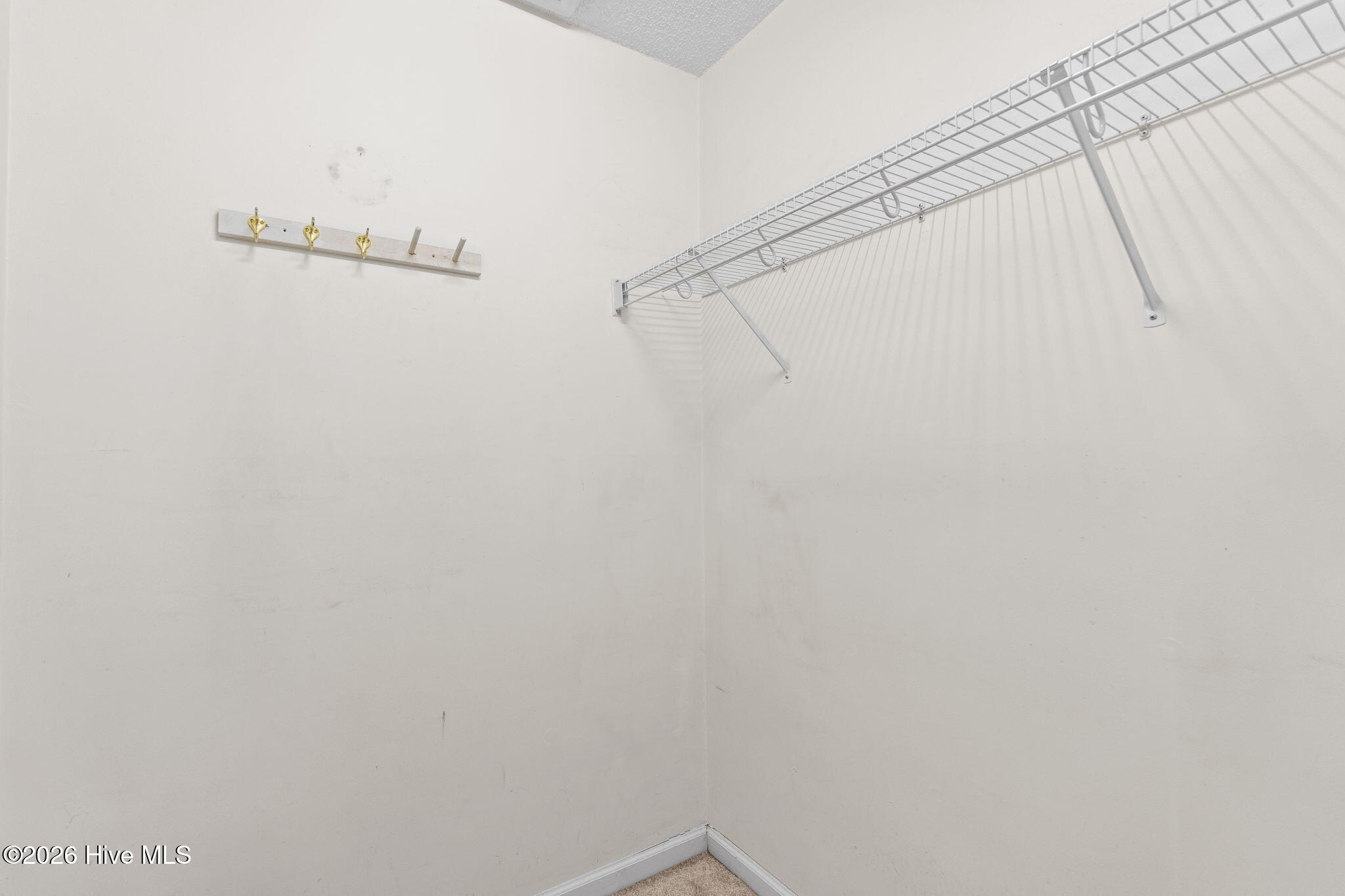 100561527 | Photo 24