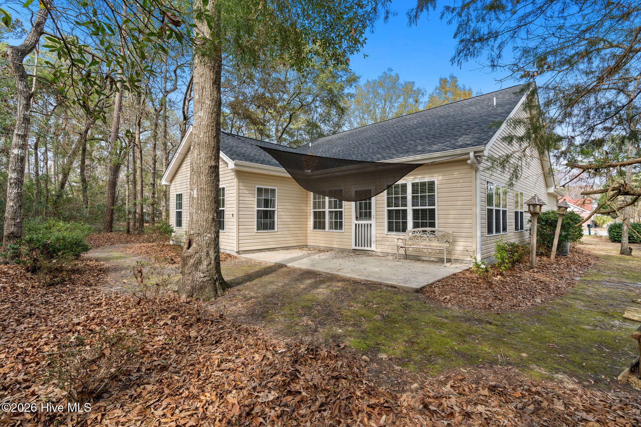 100559407 | Photo 35