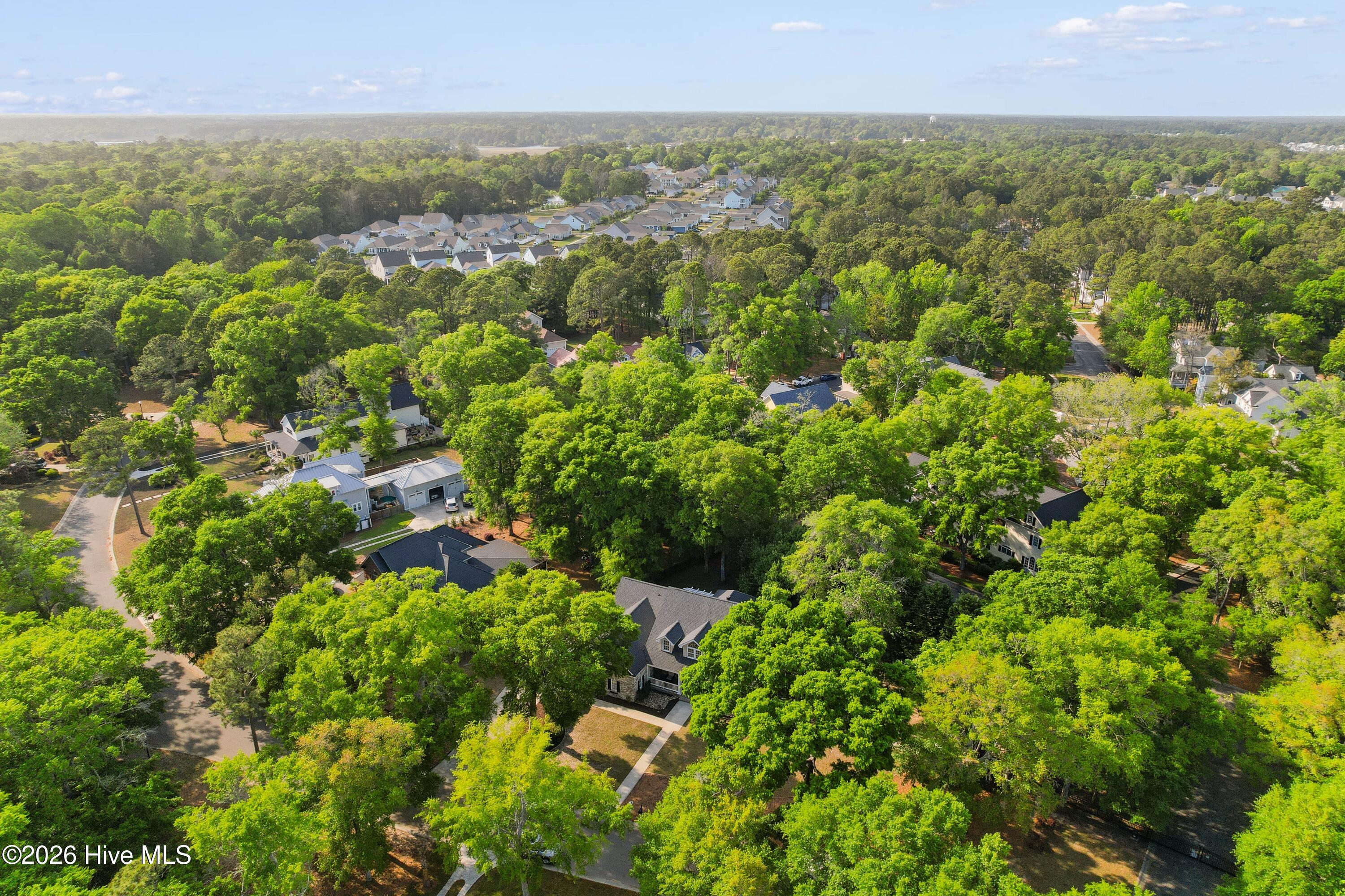 100569260 | Photo 60