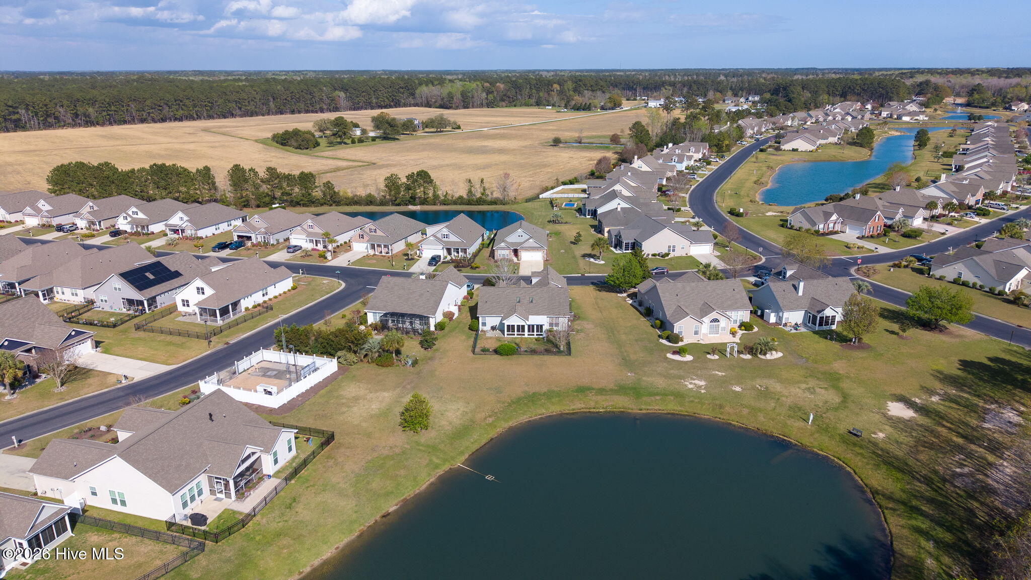 100562762 | Photo 32