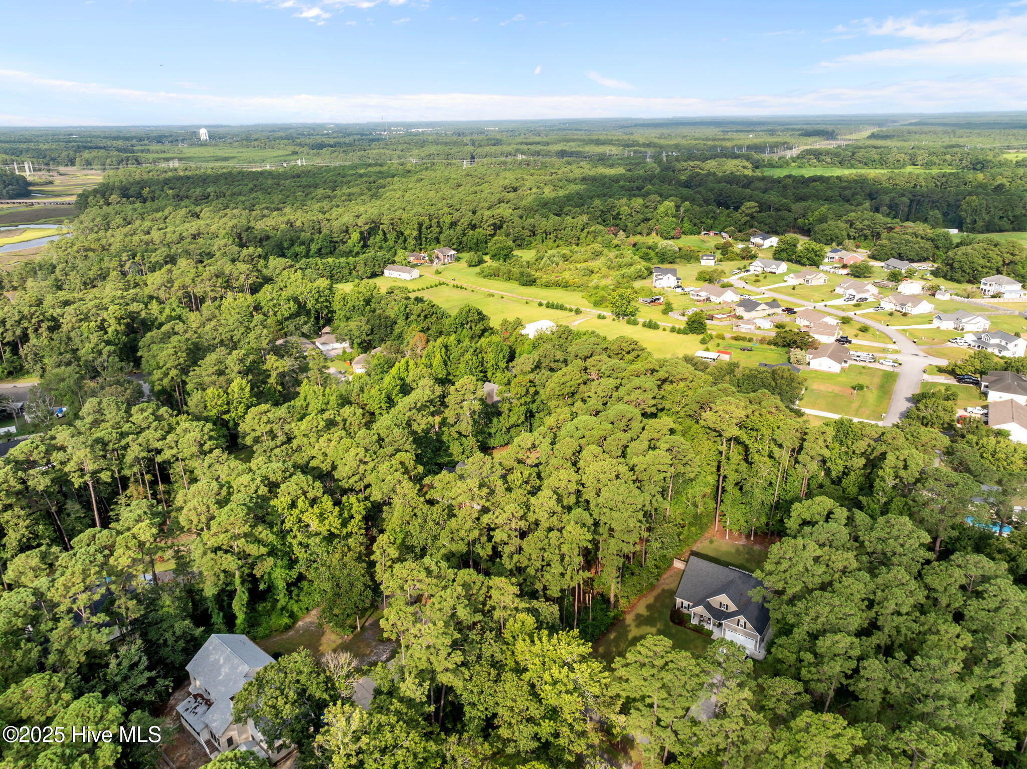 100520781 | Photo 21