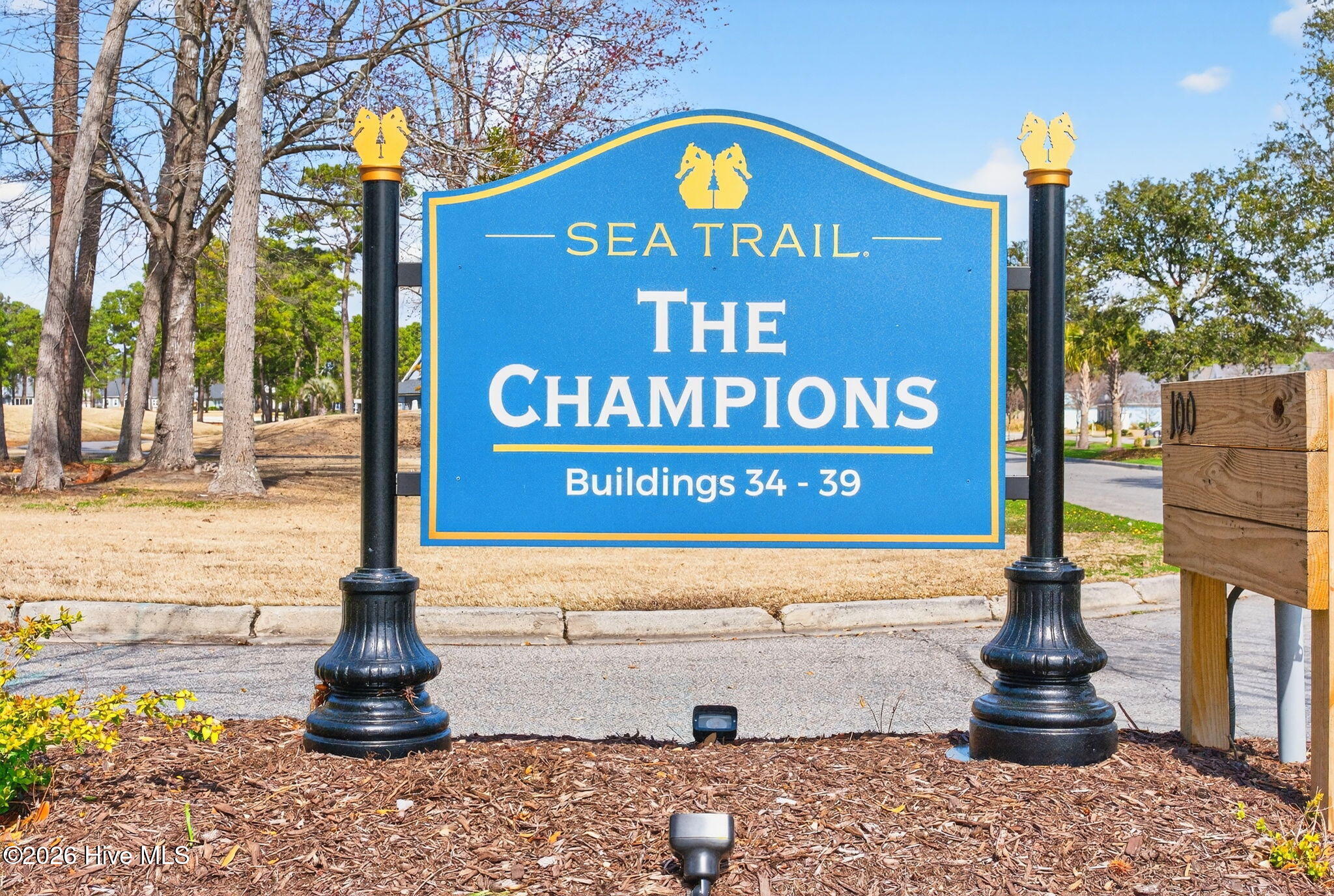 100558580 | Photo 34