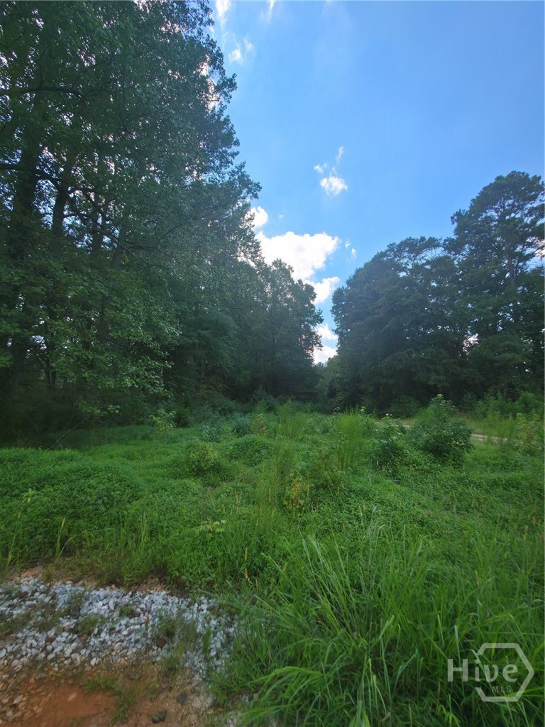 74 Charlotte, Statham, Georgia, 0 ,Land,For sale,Charlotte,CL353872