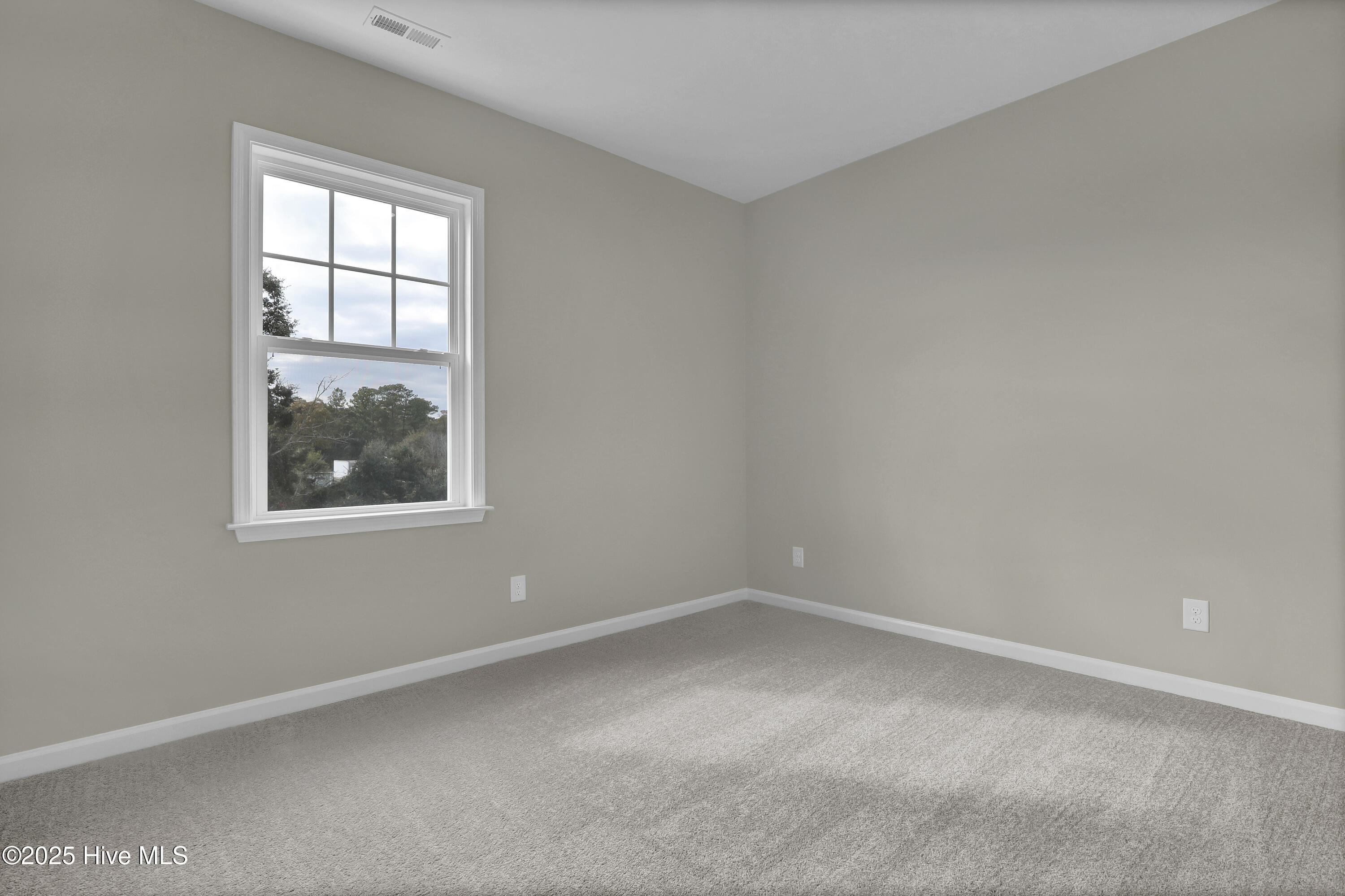 100518189 | Photo 22