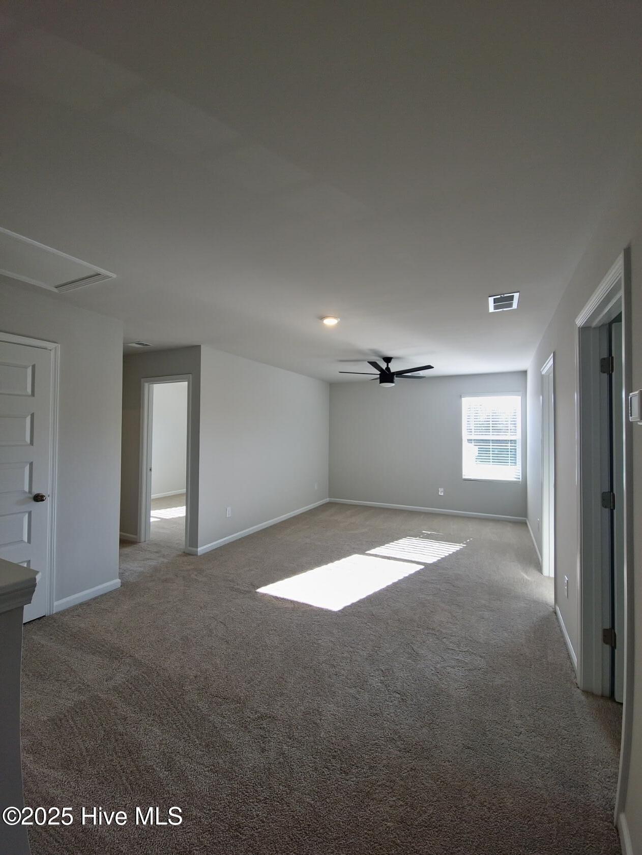 100544307 | Photo 13