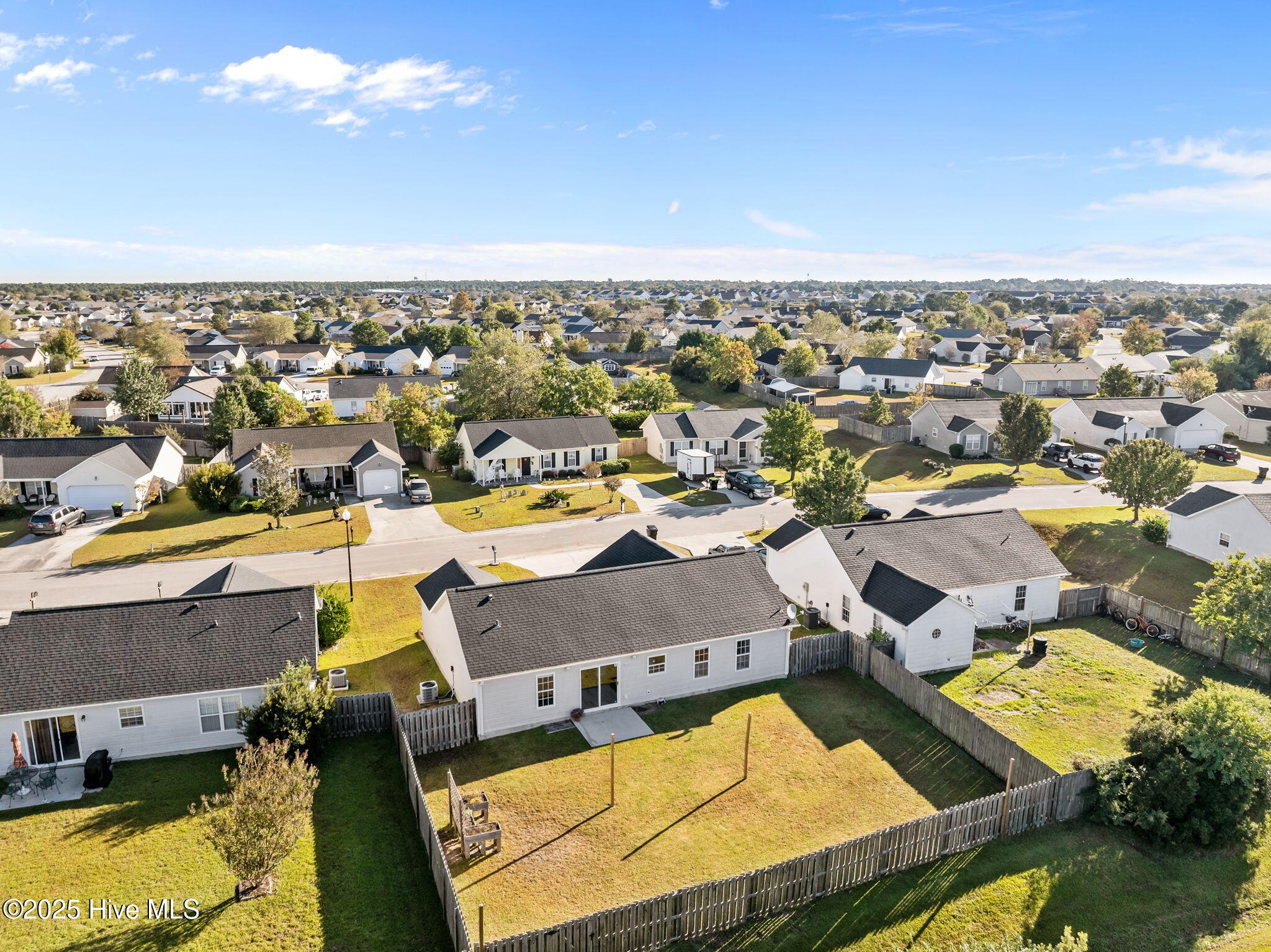 100537521 | Photo 41