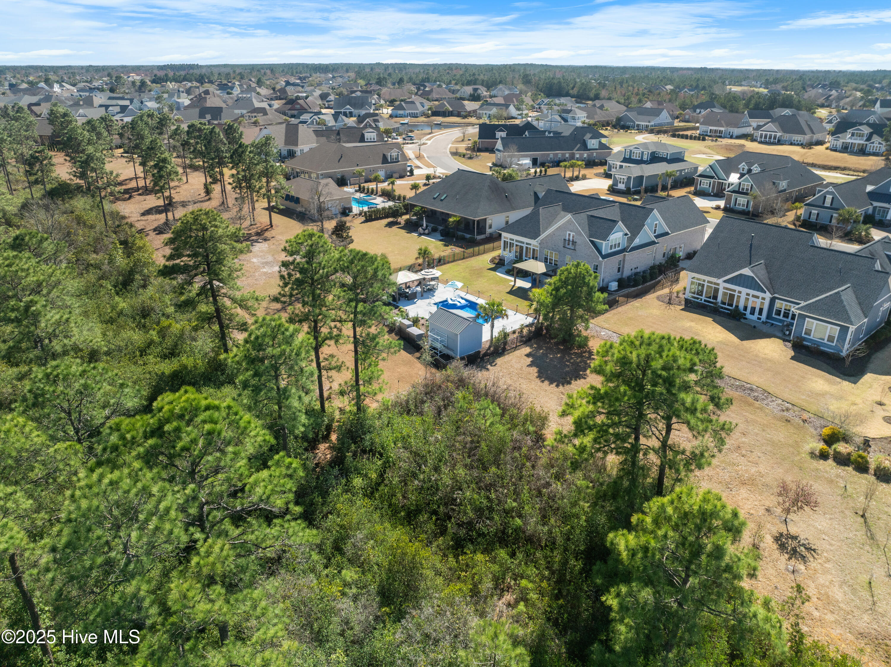 100494528 | Photo 65