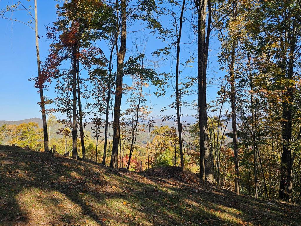 Exterior photo of 38 Trophy Buck Point, Murphy, NC 28906. MLS: 98500620