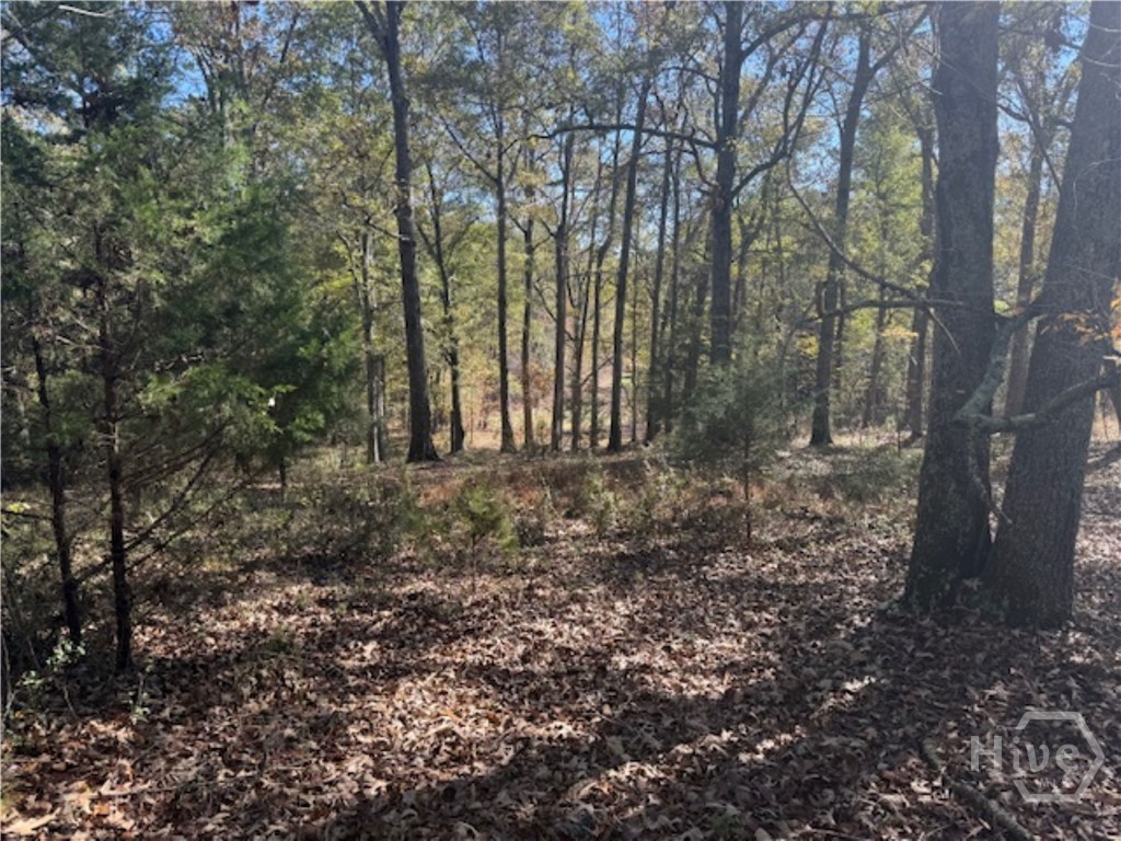 1240 Summit Drive, Watkinsville, GA, 30677