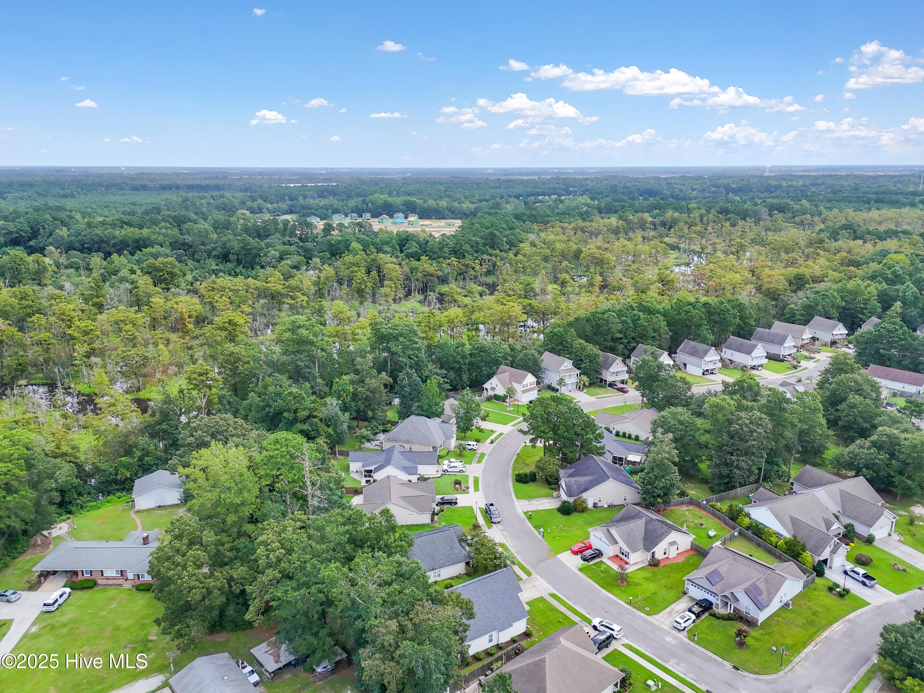 100527568 | Photo 42