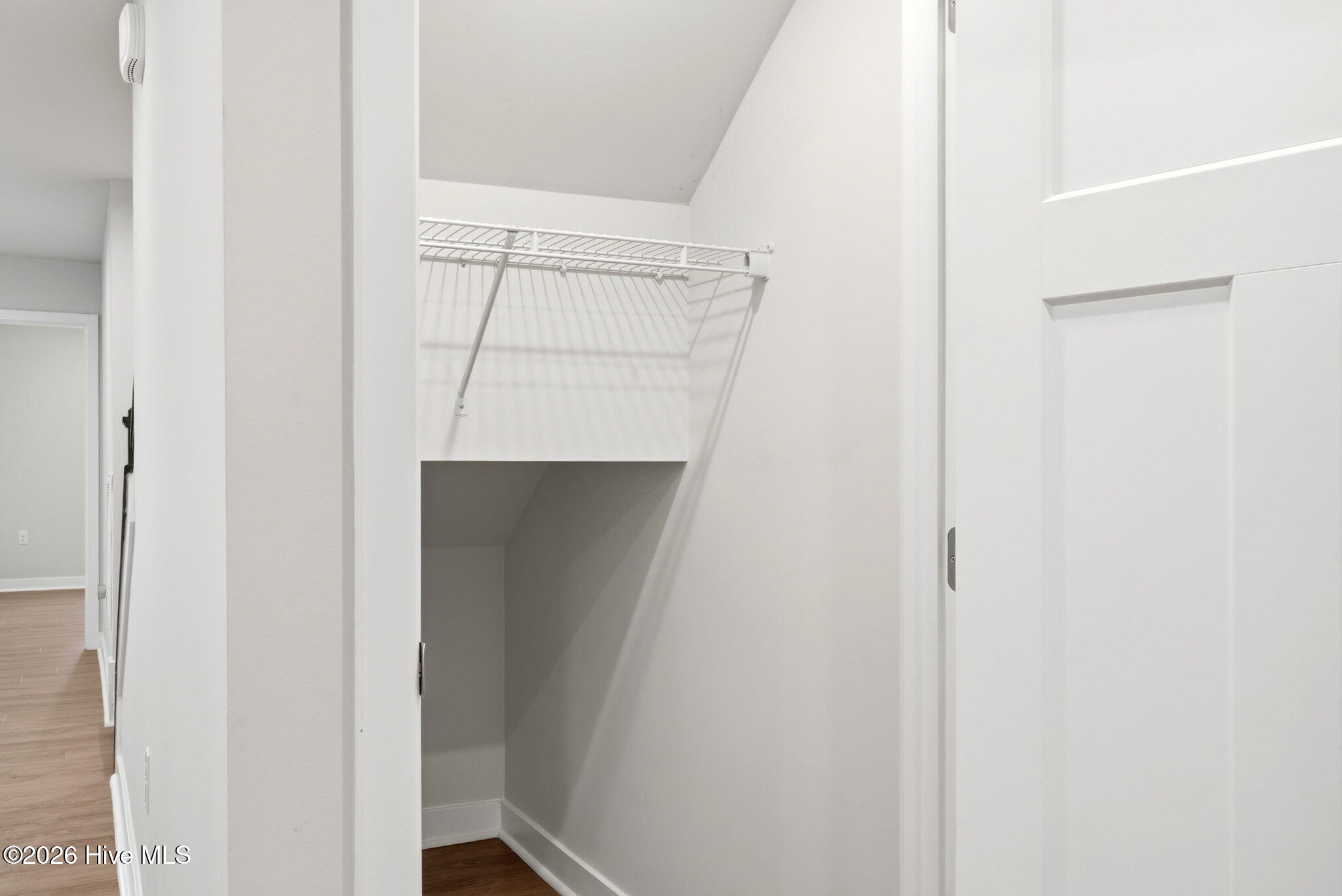 100554684 | Photo 24