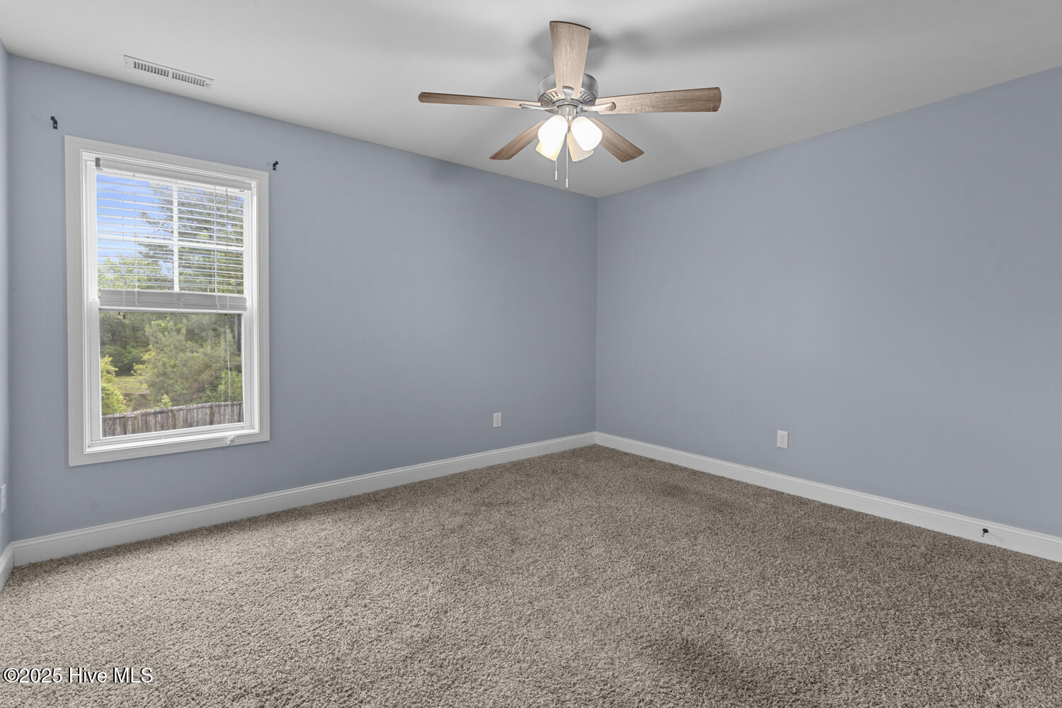 100523446 | Photo 21