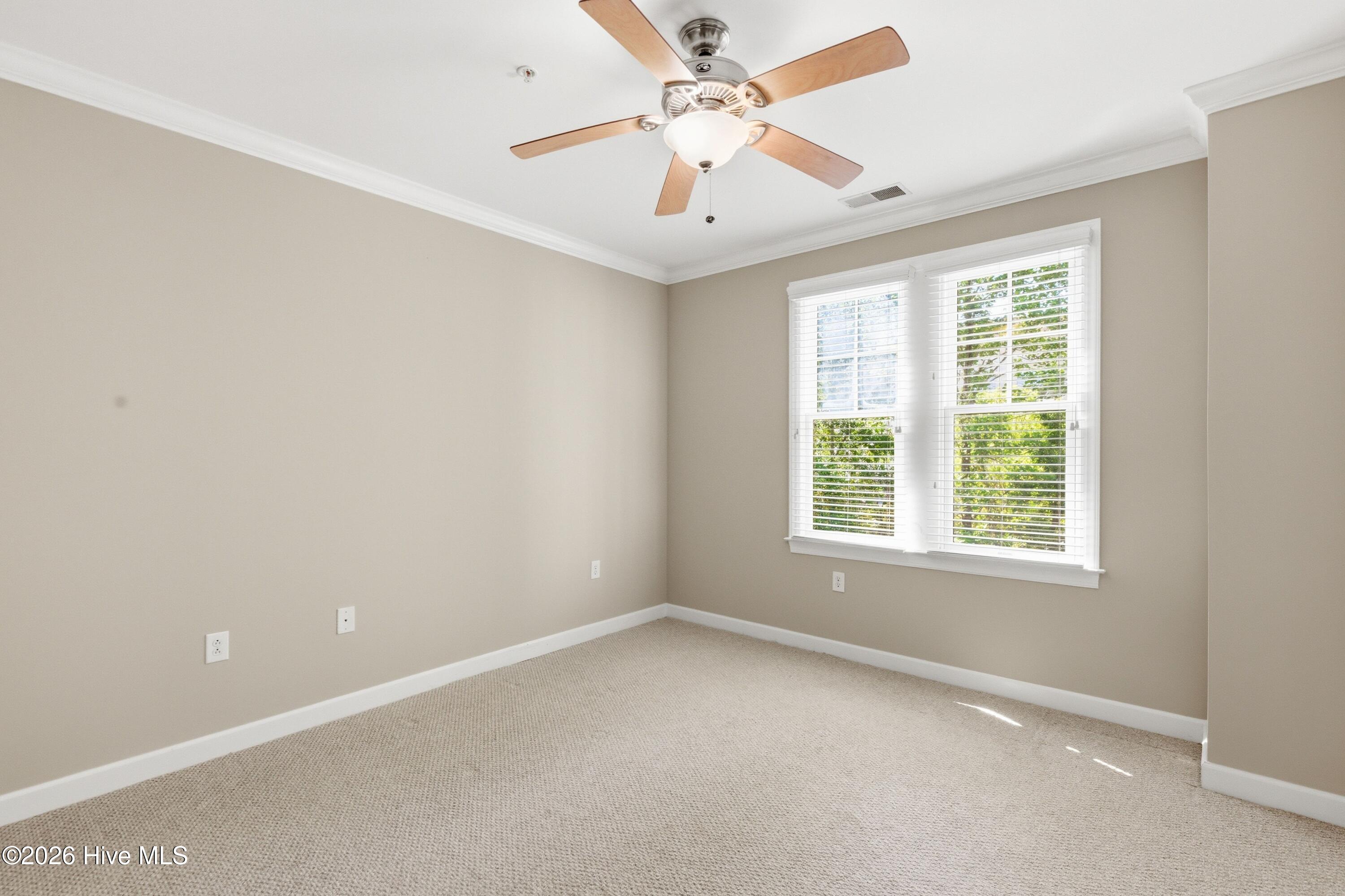 100569493 | Photo 13