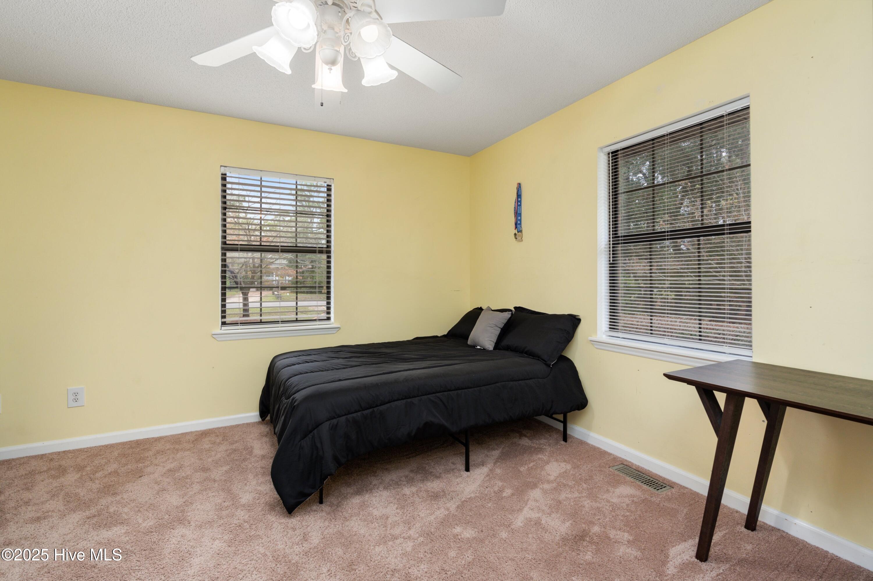 100536275 | Photo 33