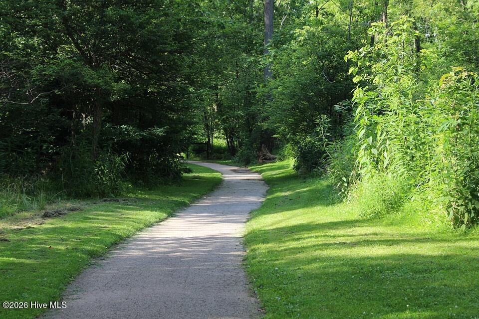 100553975 | Photo 22