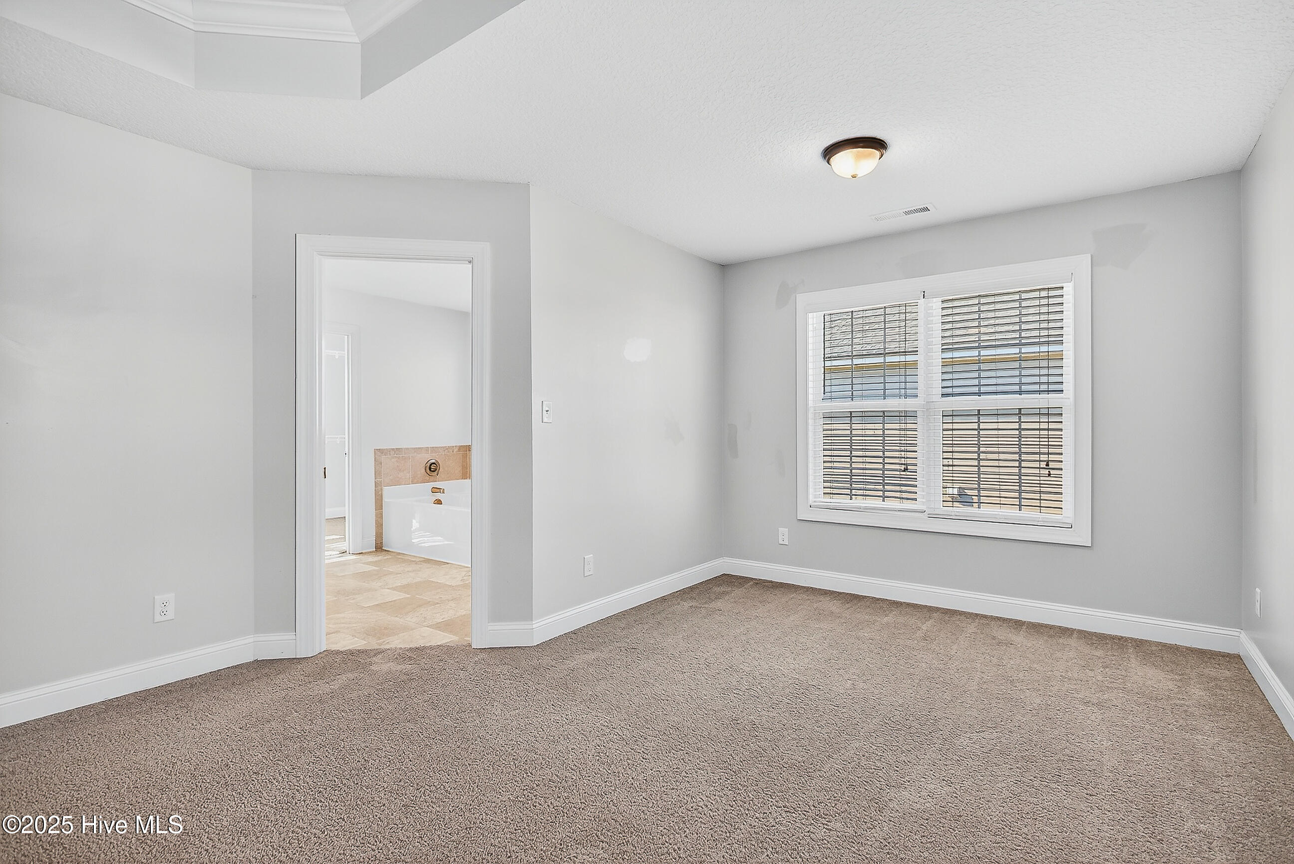 100541345 | Photo 25