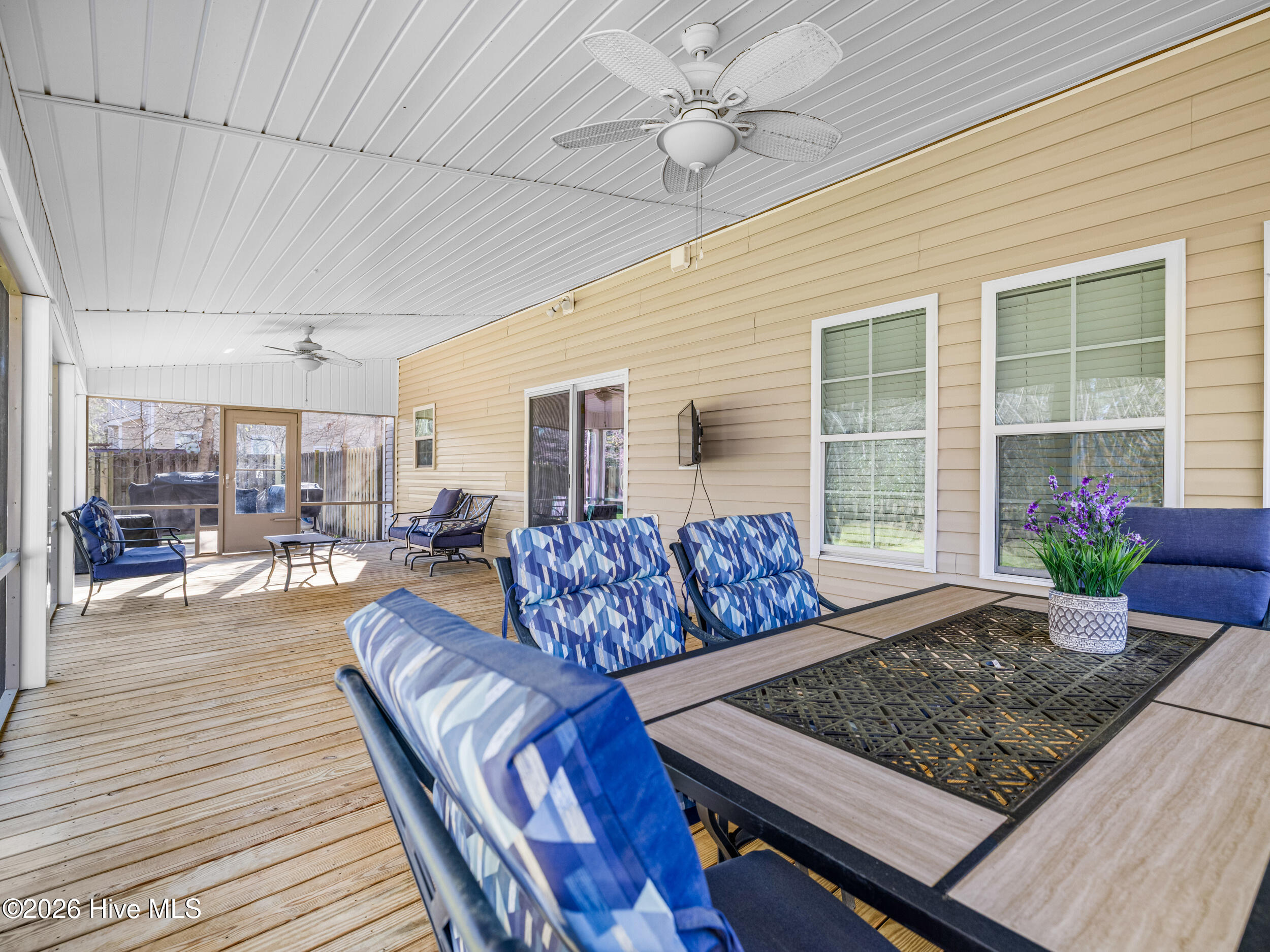 100562171 | Photo 24