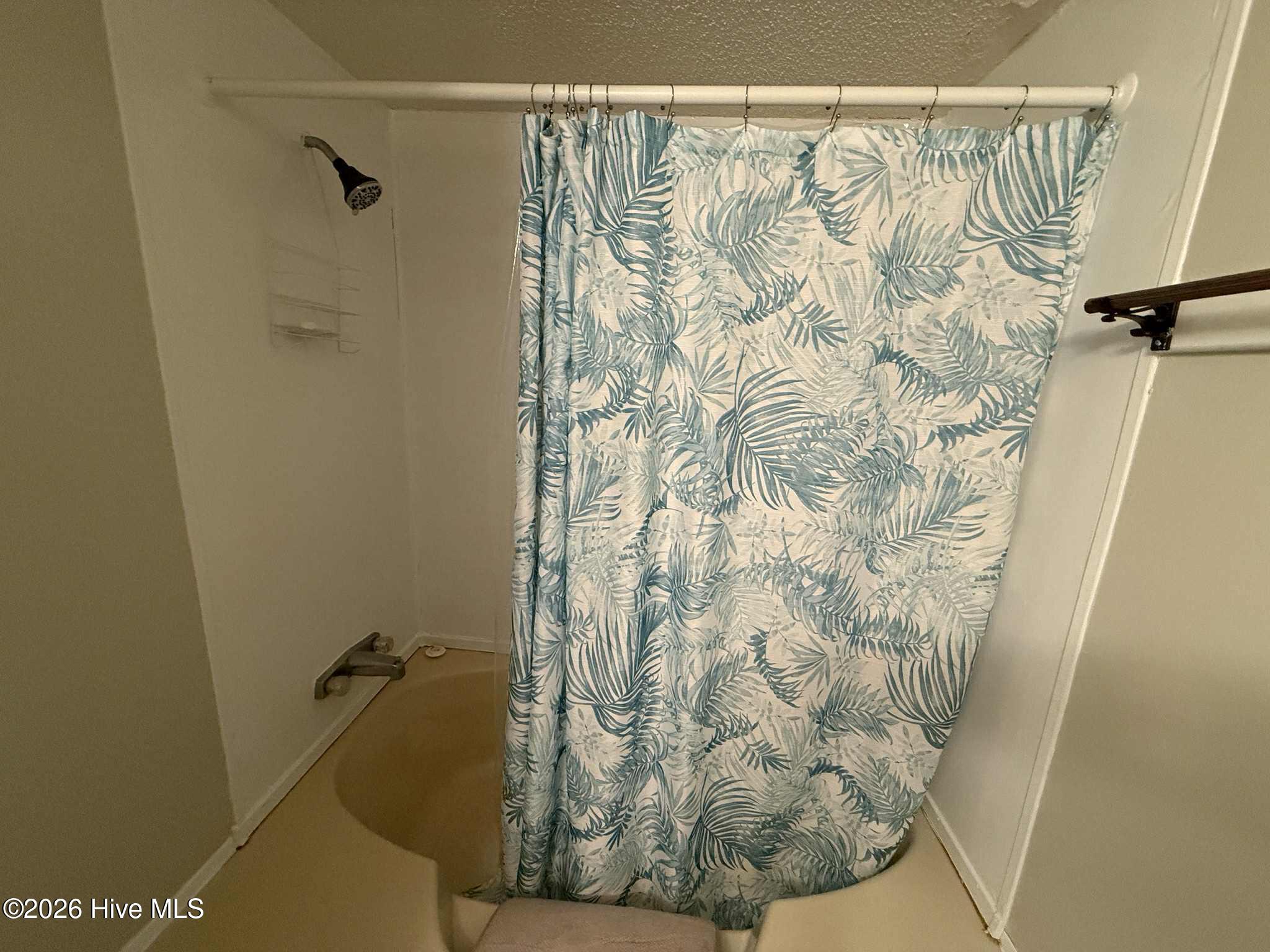 100549853 | Photo 11