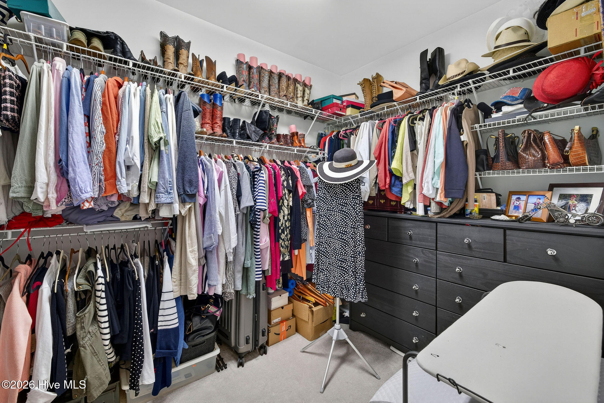 100558563 | Photo 30