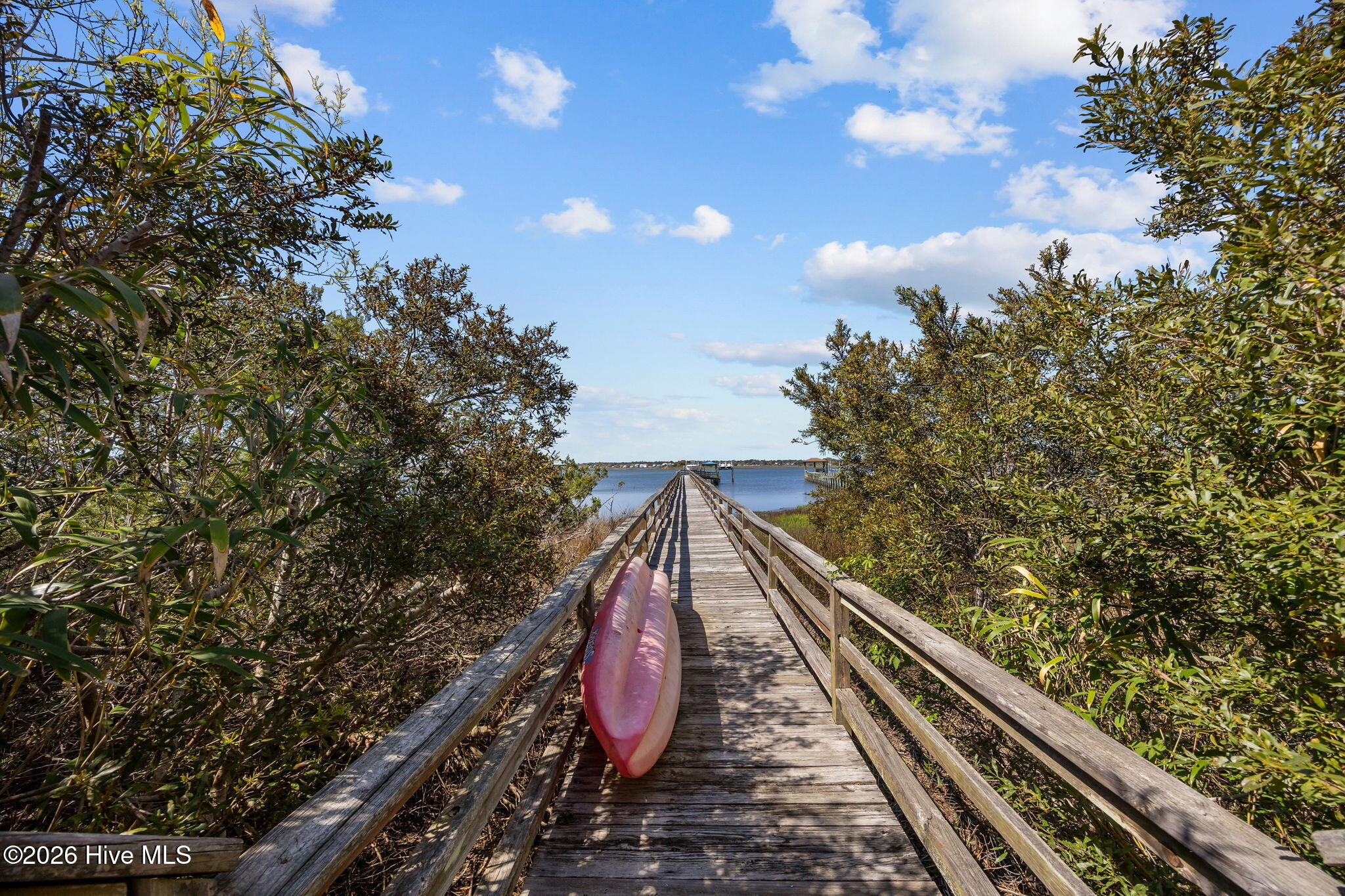 100564617 | Photo 57