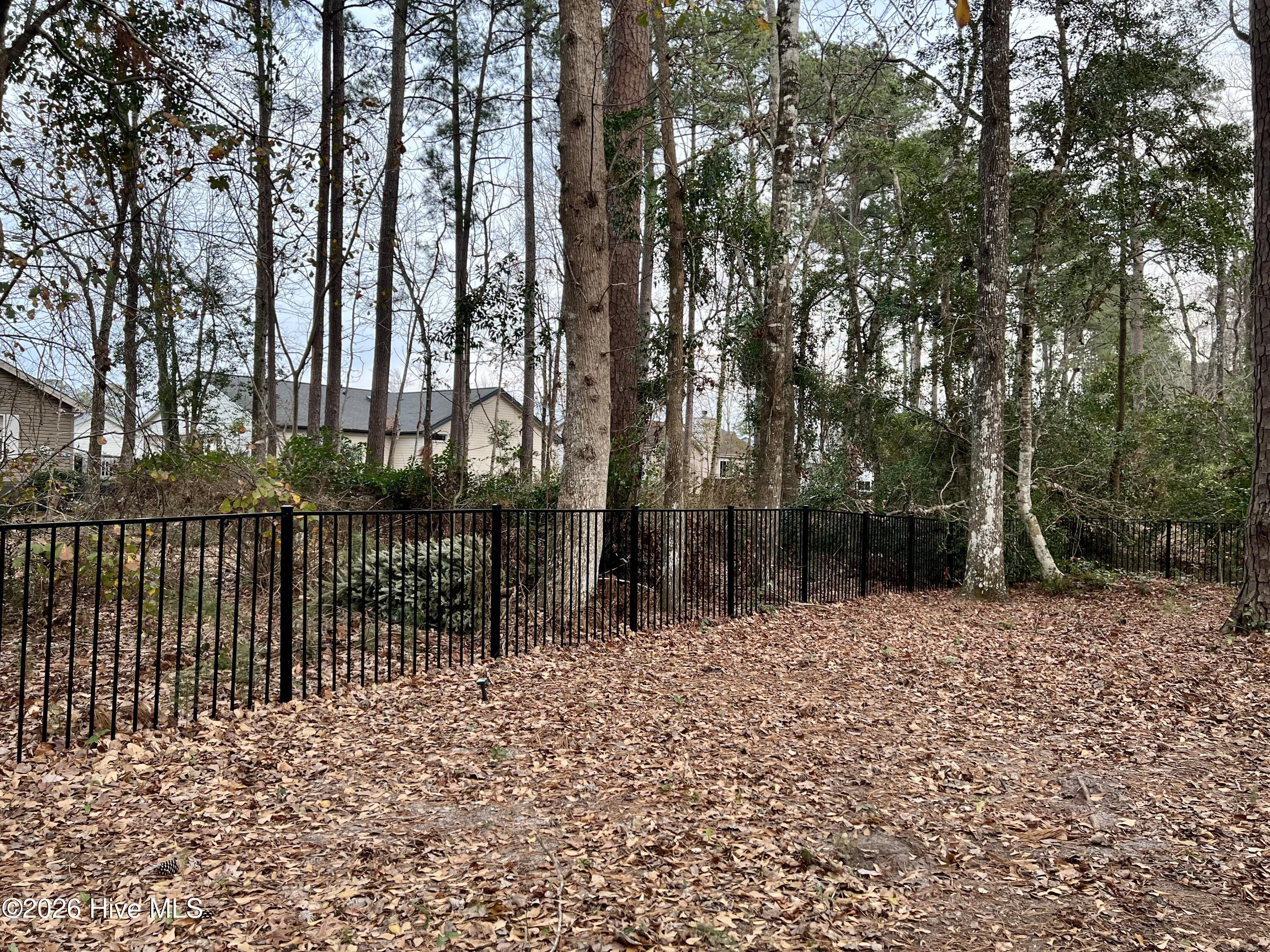 100564065 | Photo 36