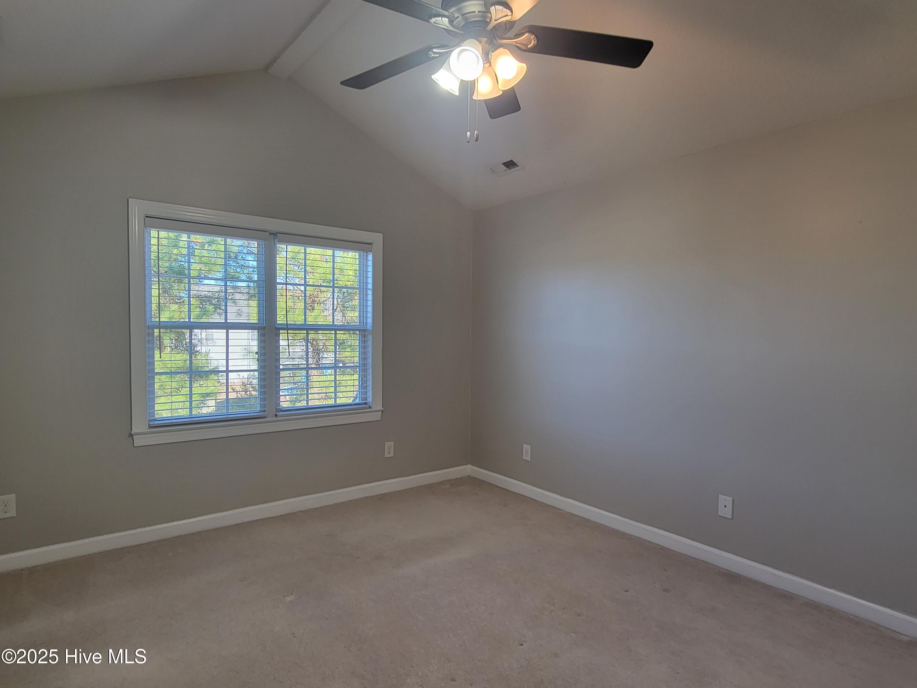 100537987 | Photo 12