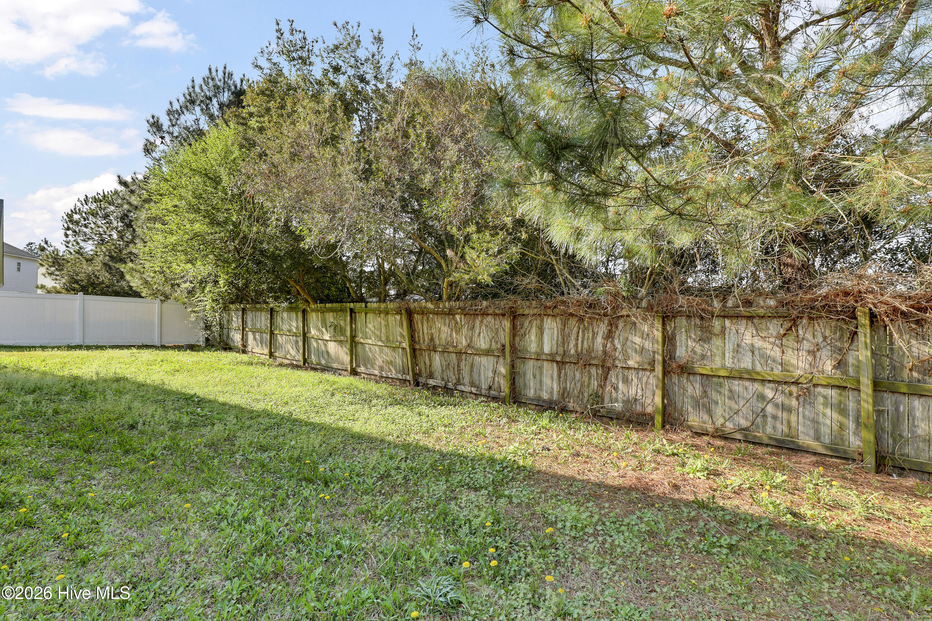 100563048 | Photo 24