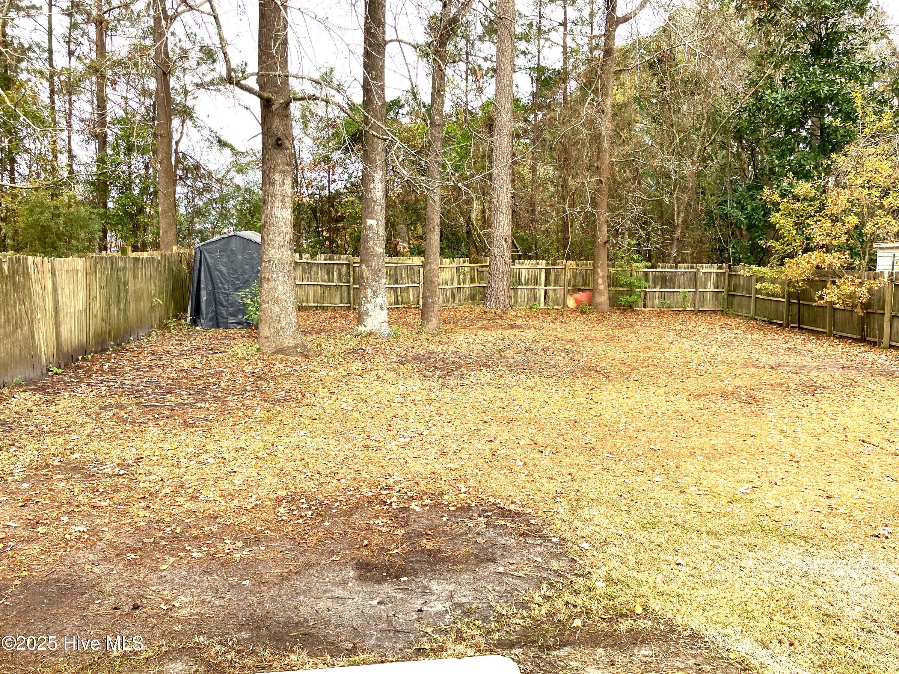 100545920 | Photo 17