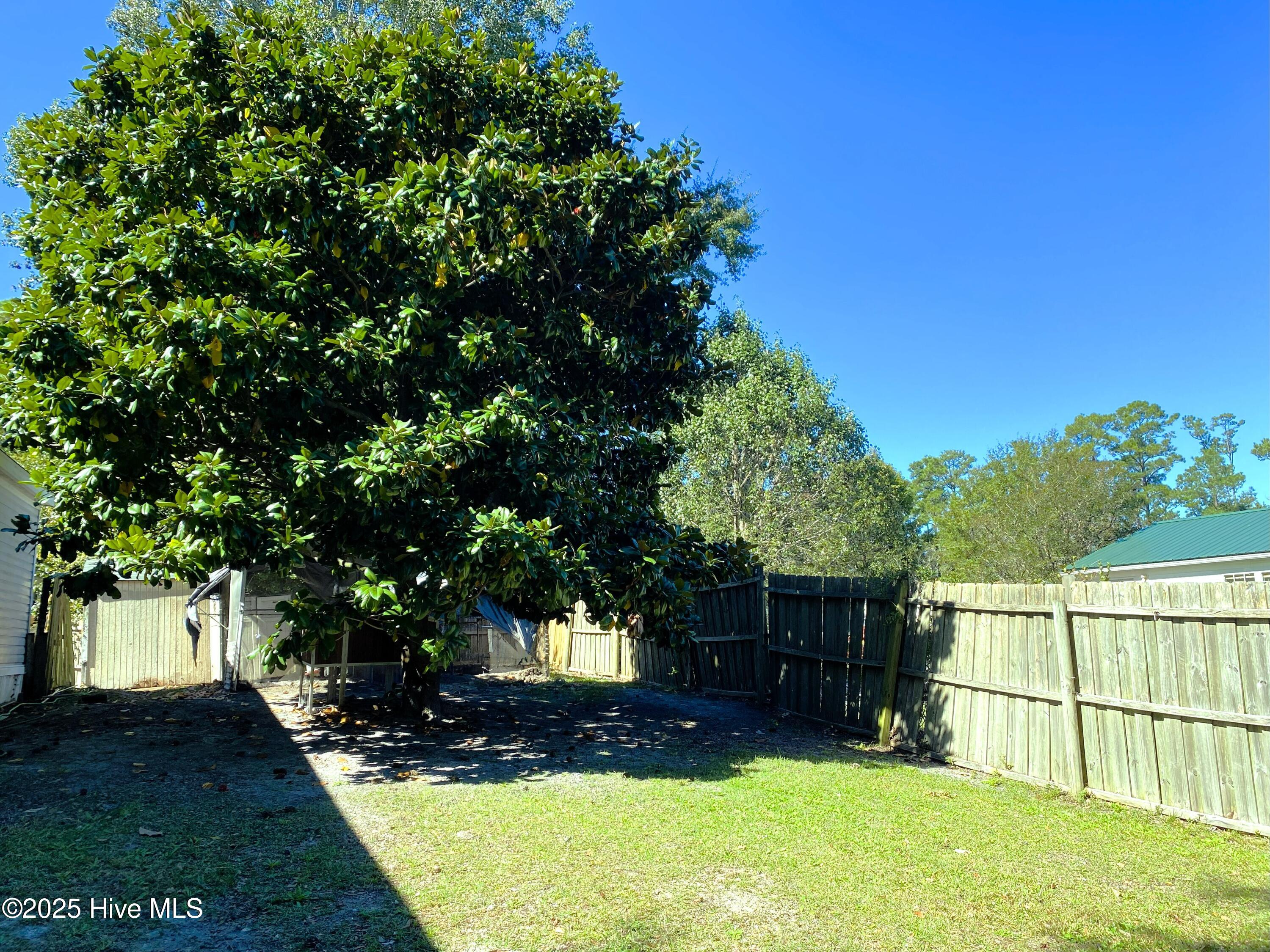 100537784 | Photo 18