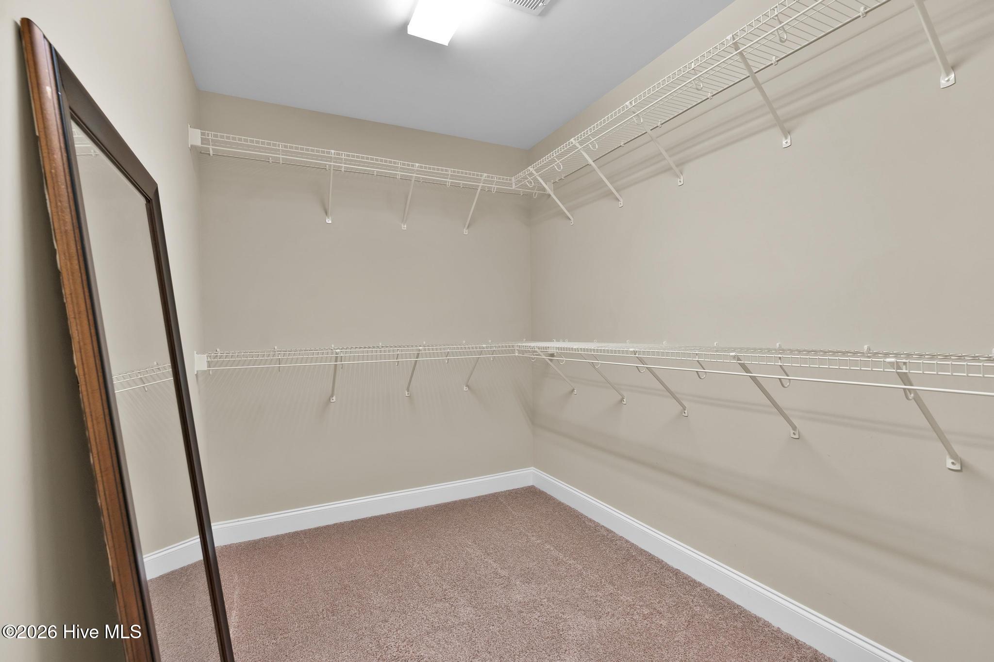 100556284 | Photo 24