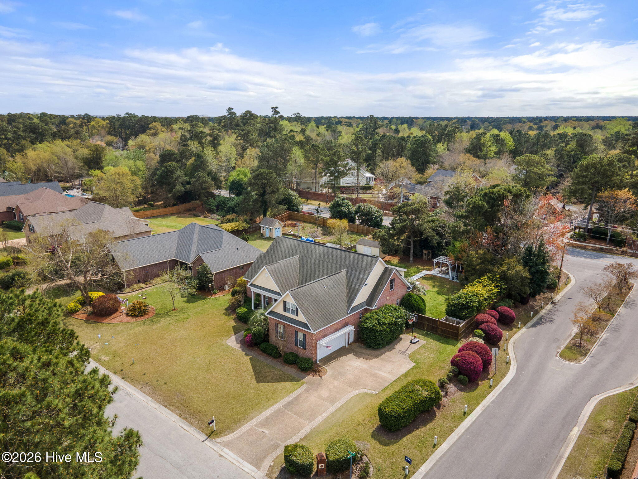 100561515 | Photo 116