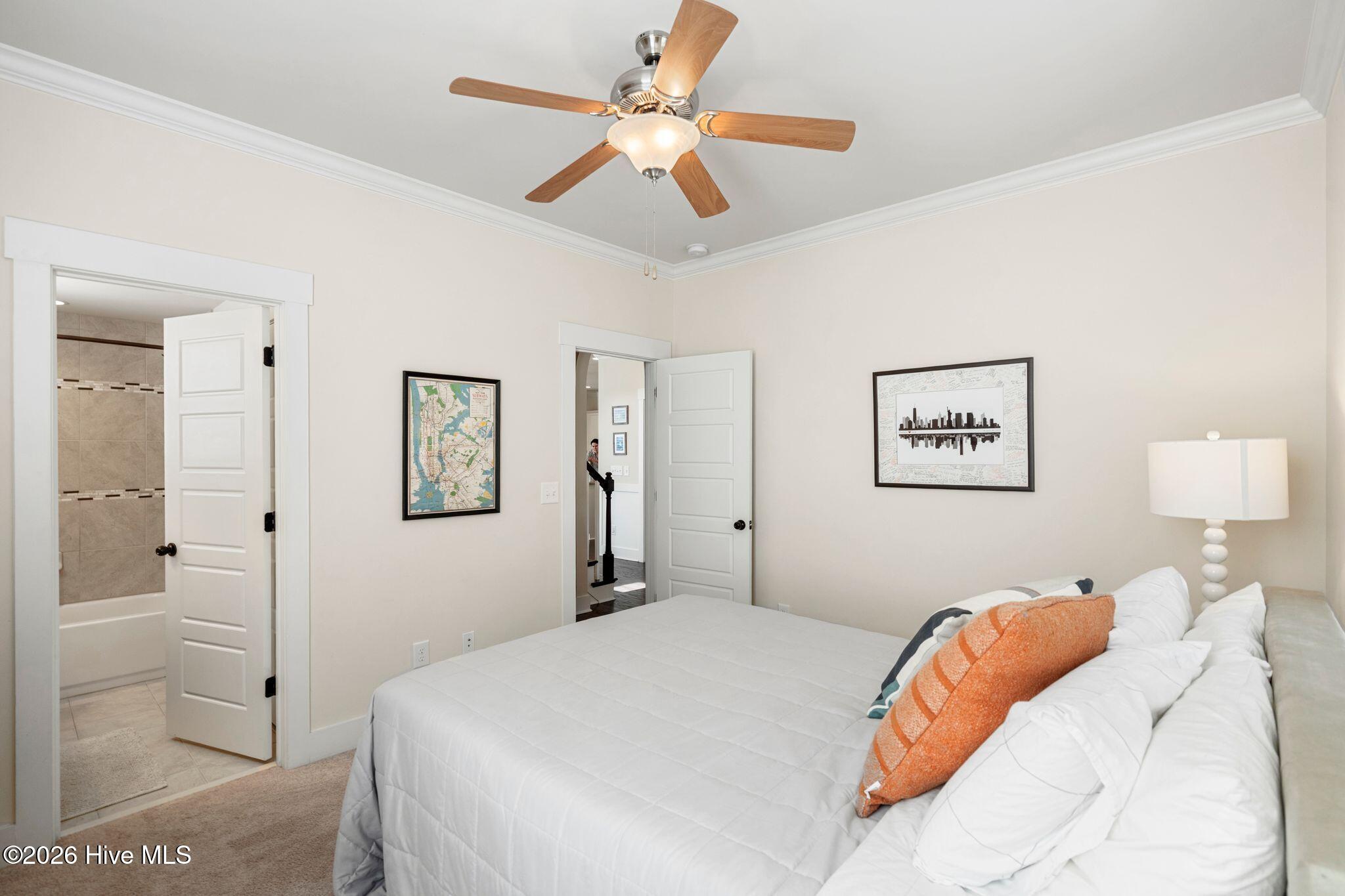 100558844 | Photo 38