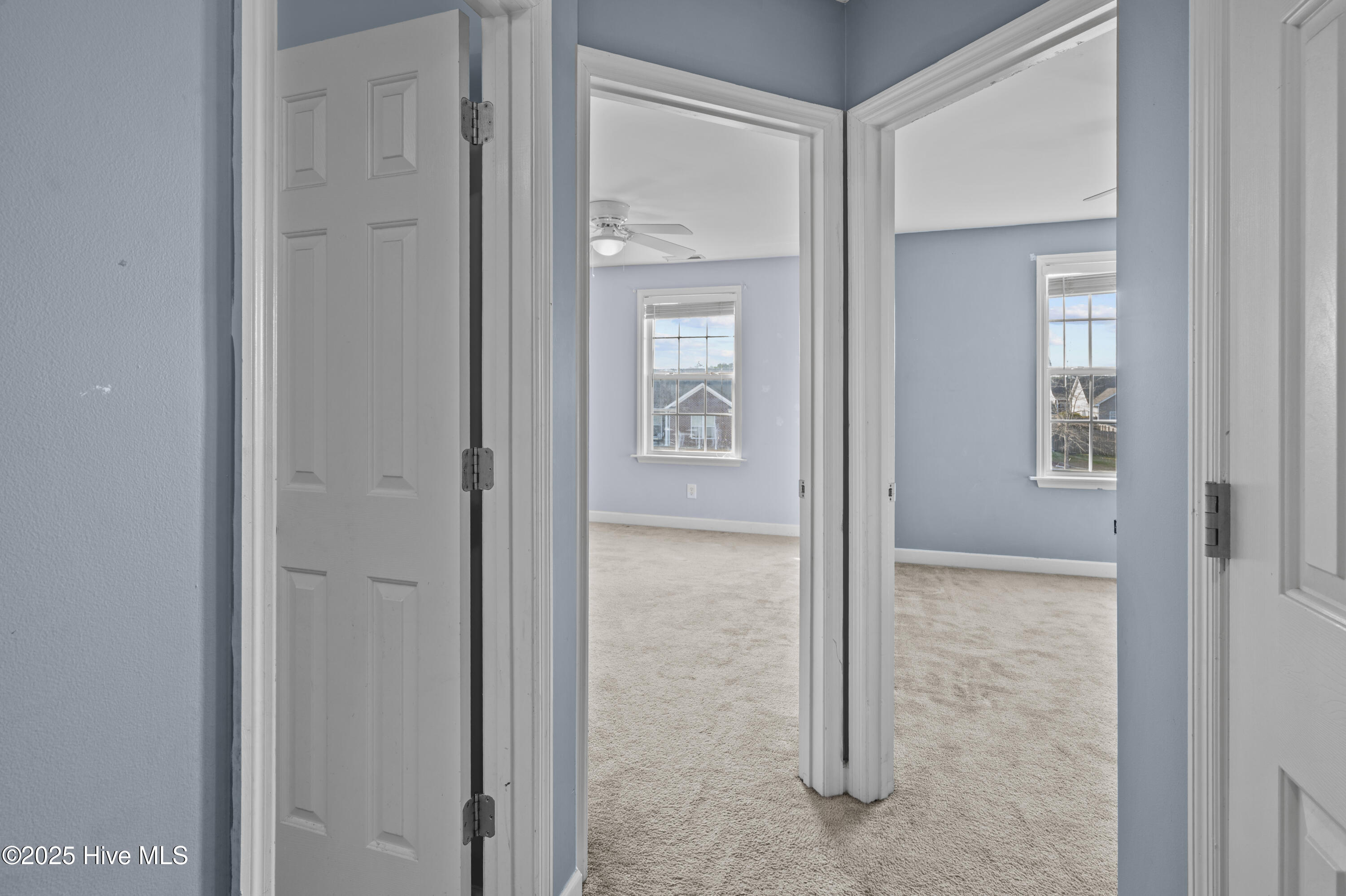 100546481 | Photo 25