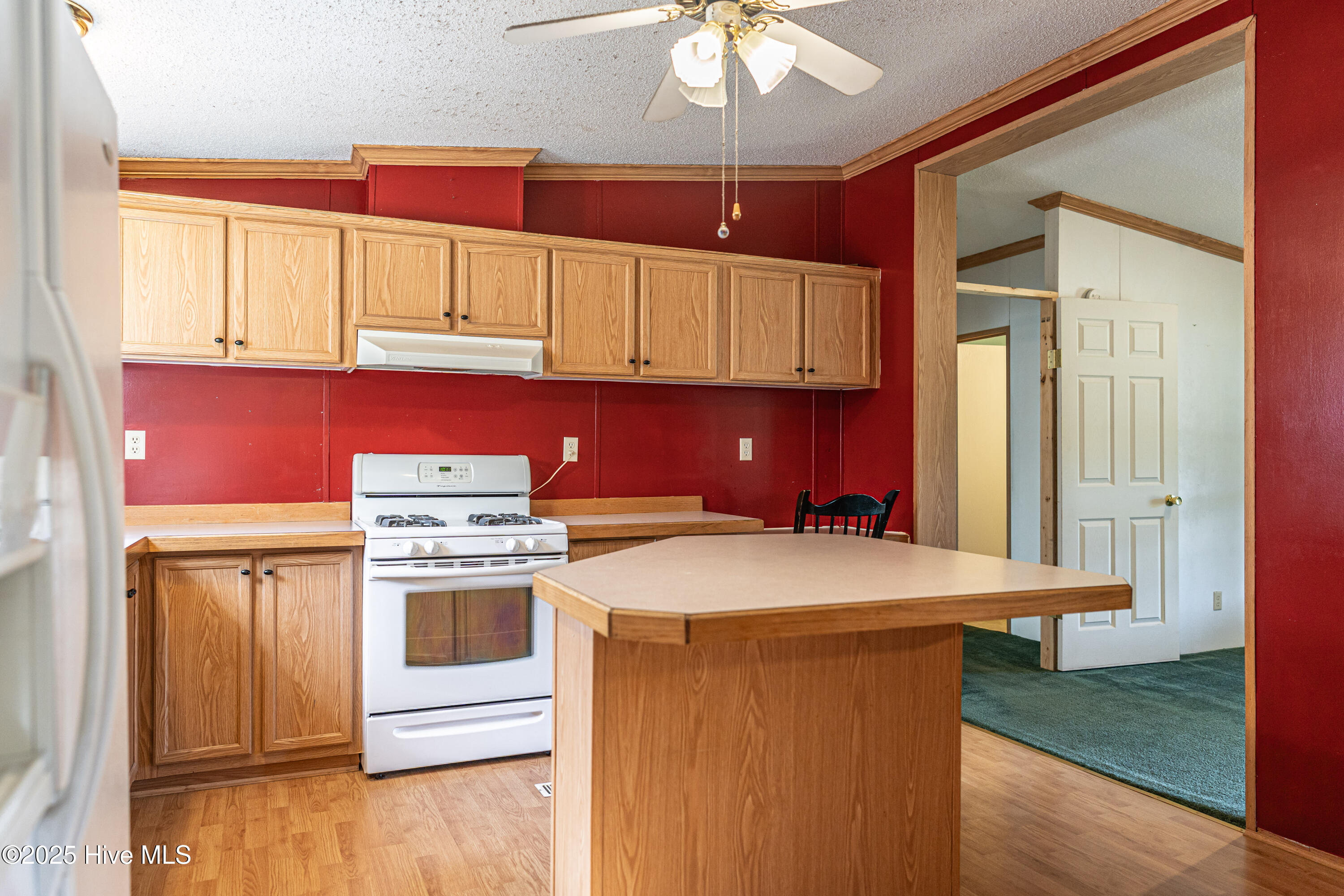 113 Holly Place