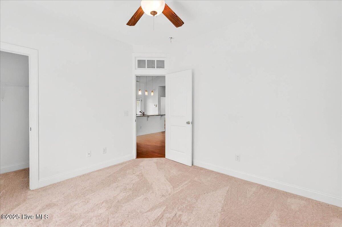 100521478 | Photo 15