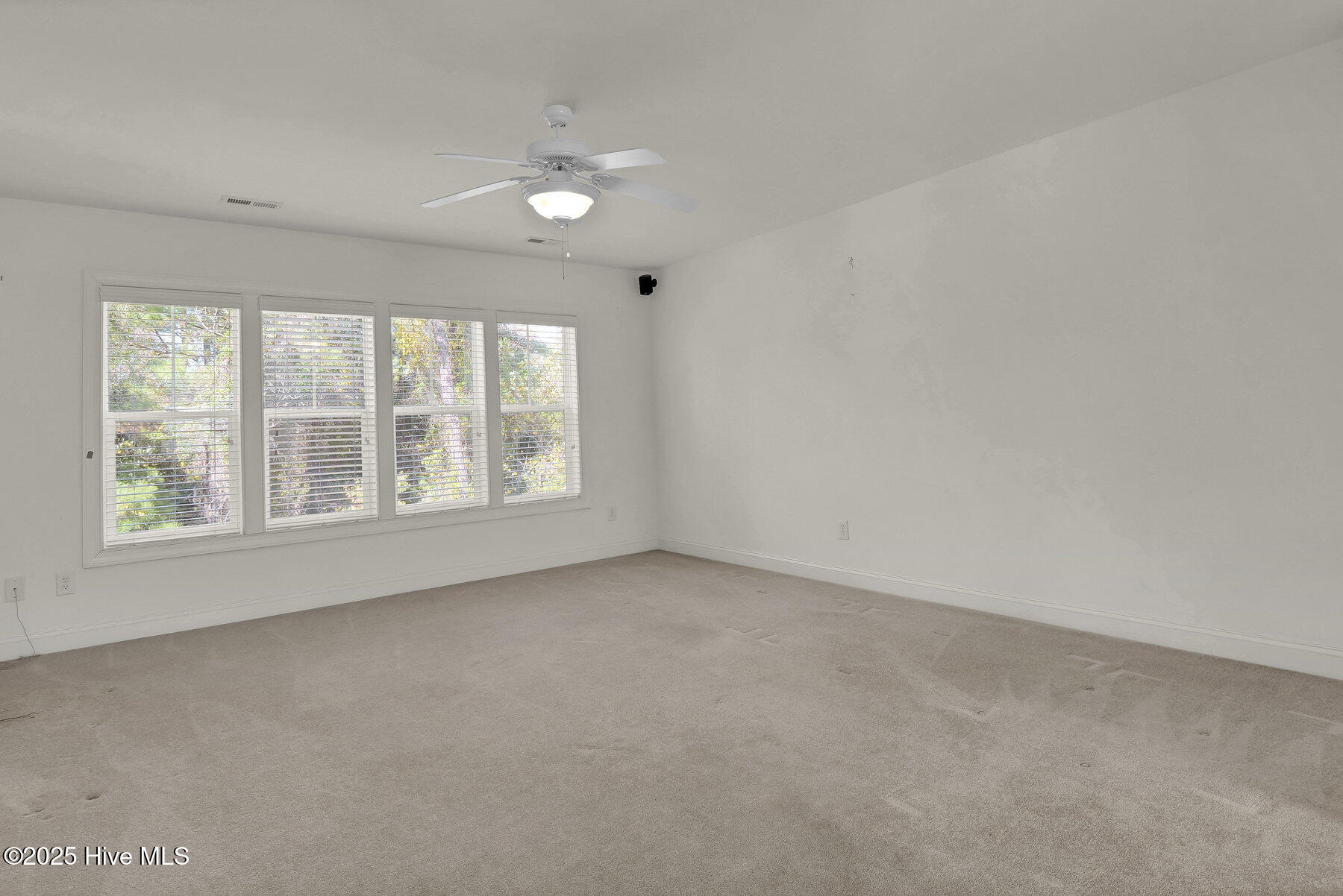 100540144 | Photo 23