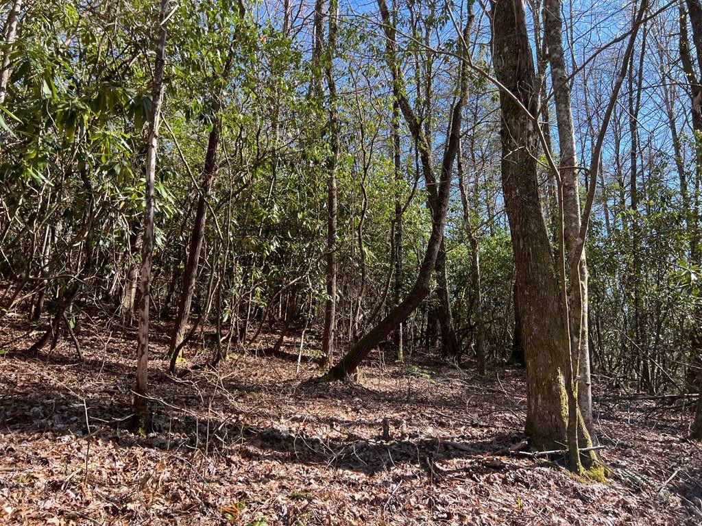 4.90 Wayah, Nantahala, North Carolina, 0 ,For sale,Wayah,98524663