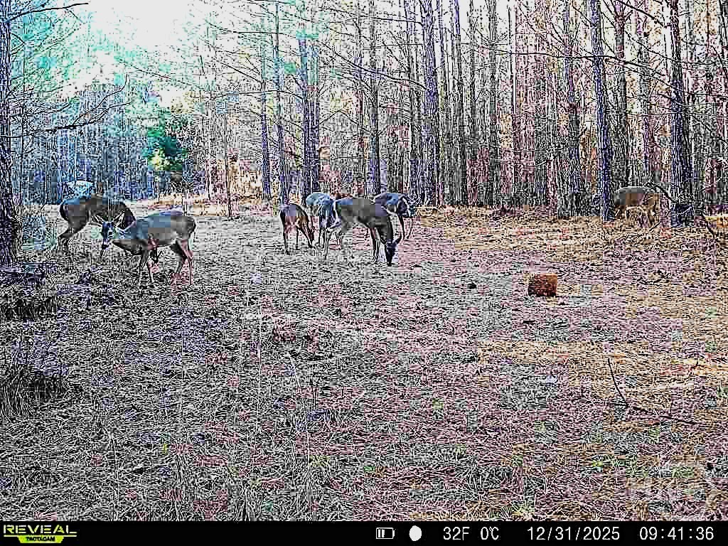 1208 Elberton Road, Lexington, GA, 30648