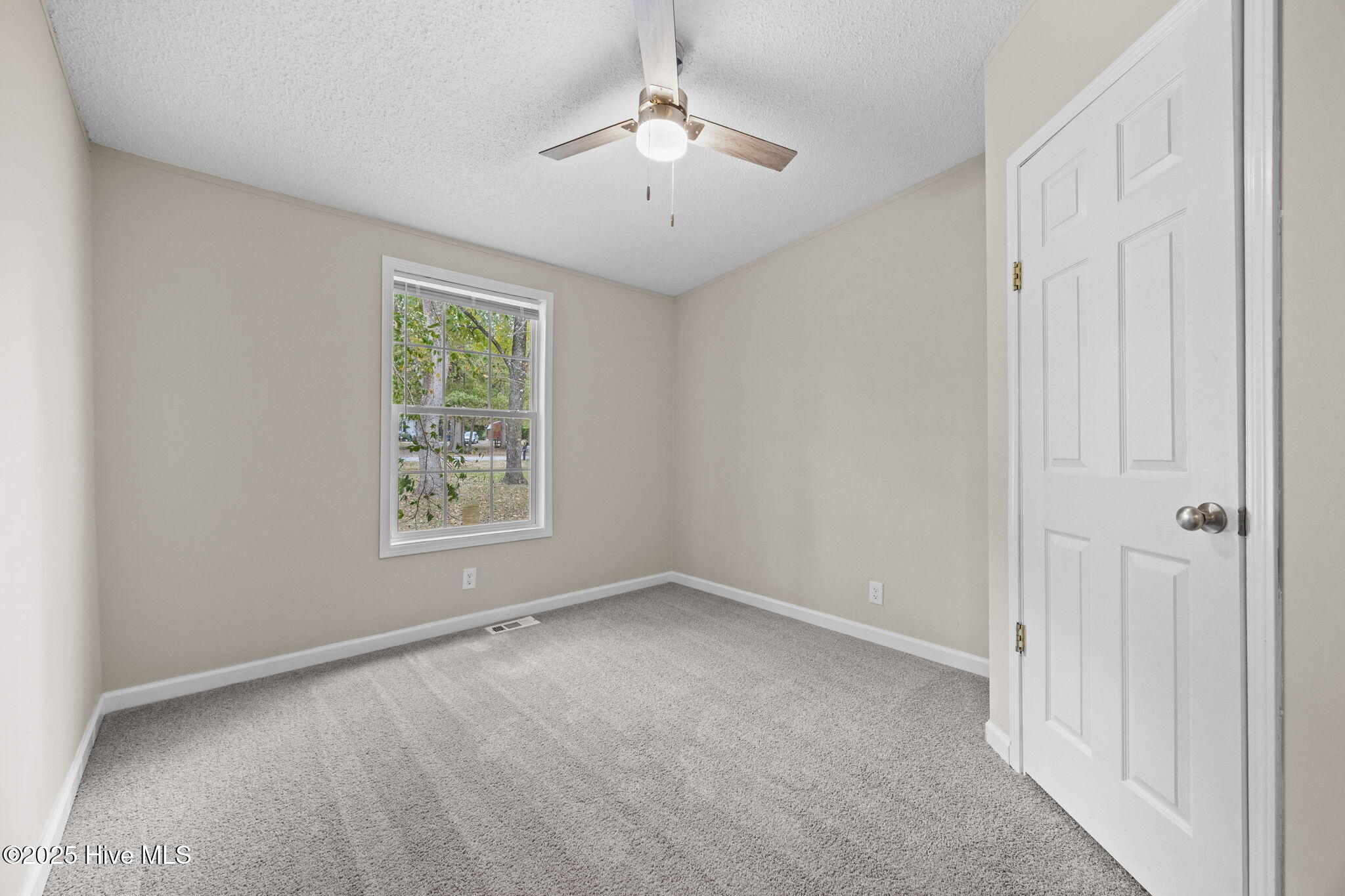 100538807 | Photo 32