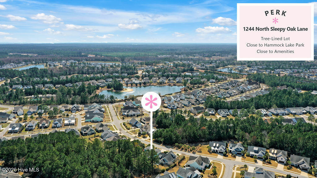 100558755 | Photo 48