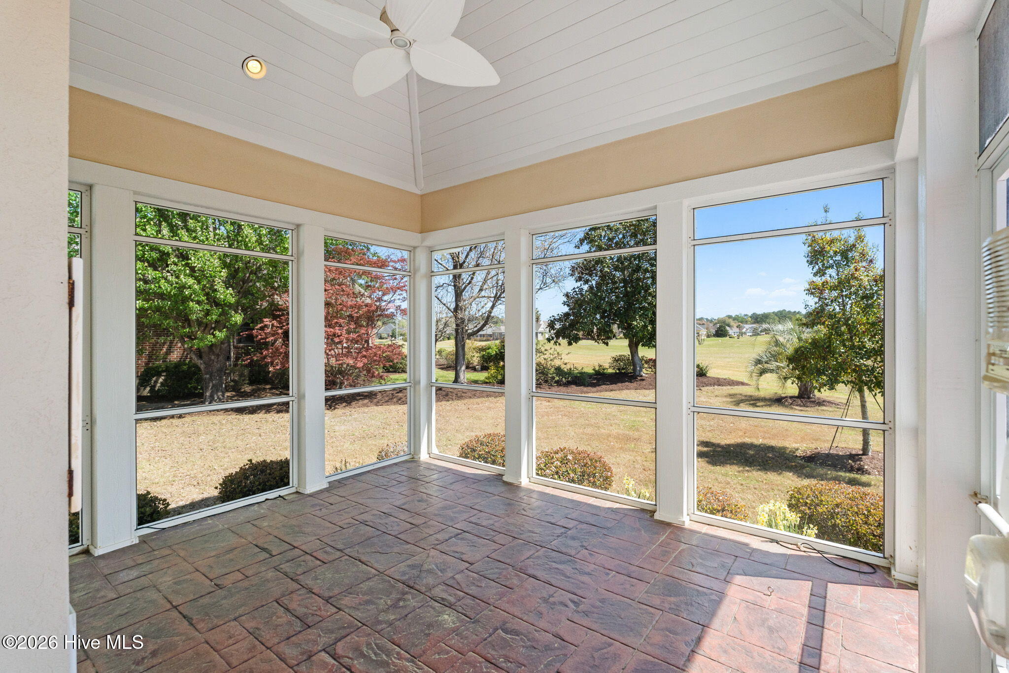 100564967 | Photo 39